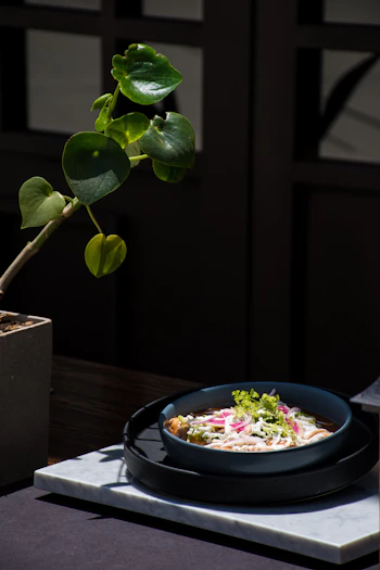 Artesanías y alfarería México