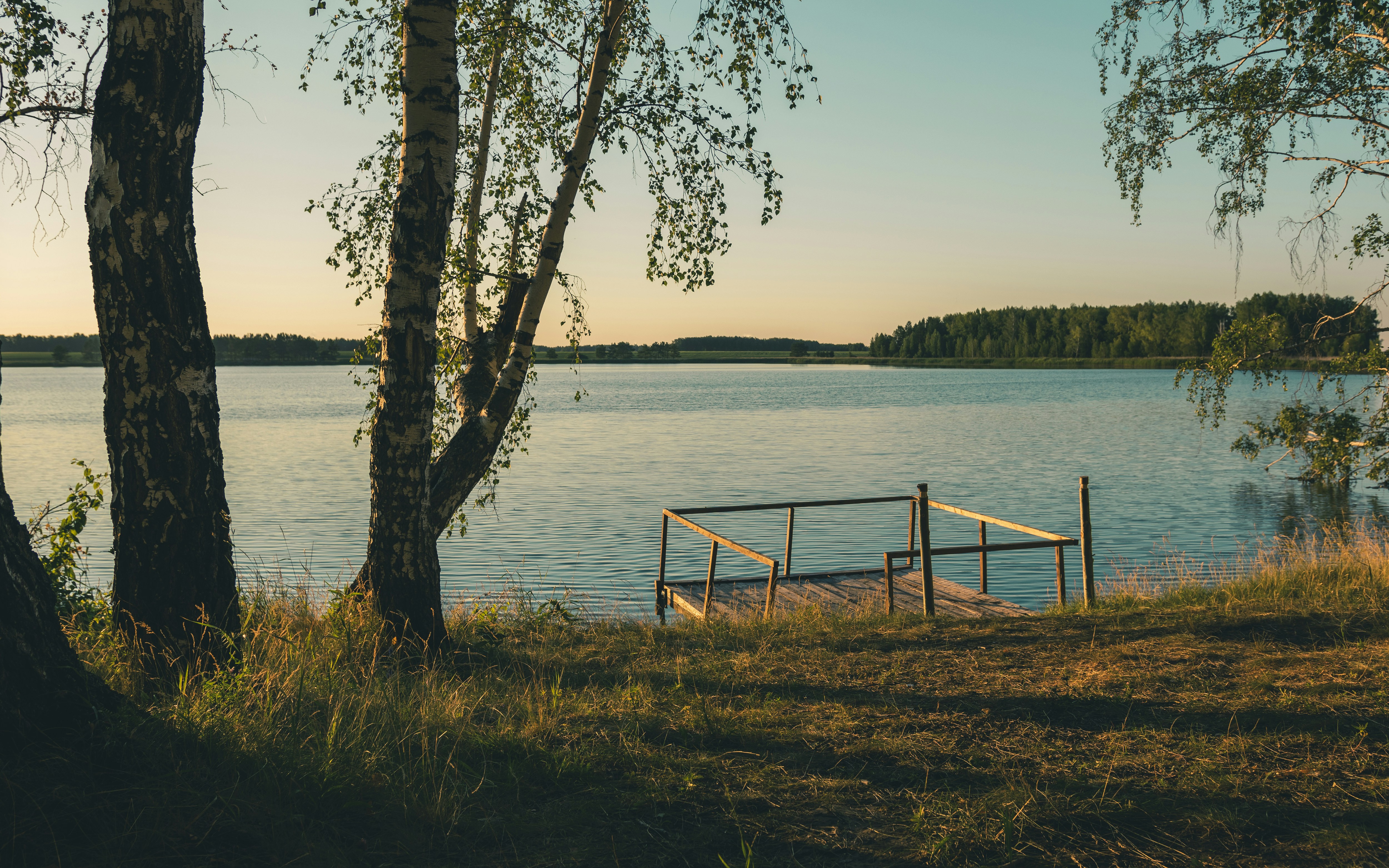 Photo by alsedelnikov