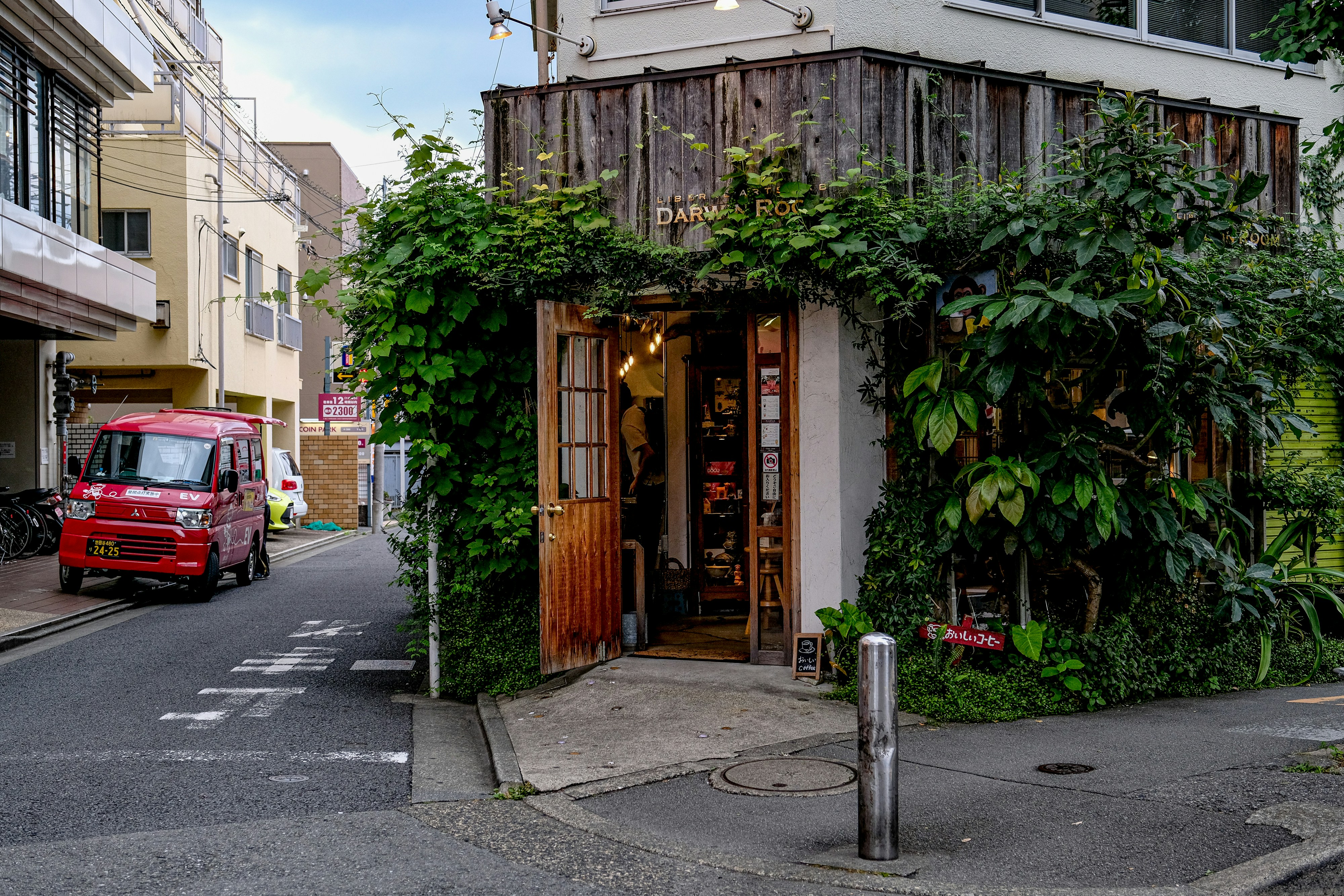 Cozy Tokyo cafe surrounded by plum blossoms