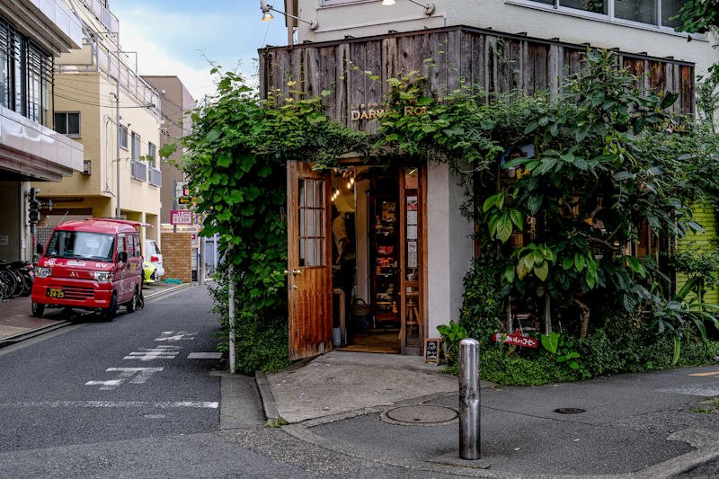 Hidden and Underrated Cafes in Madeira That Most Tourists Miss