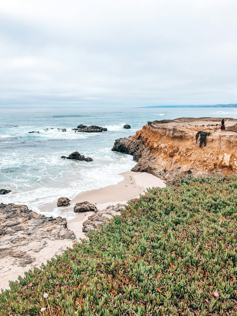 green grass on brown rocky shore during daytime