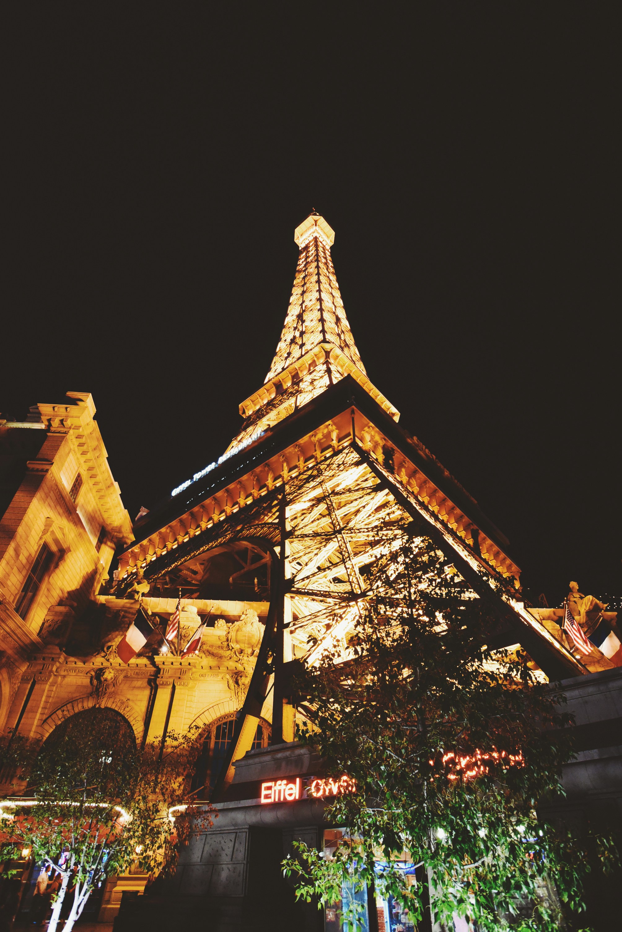 上田市の美容鍼灸院が掲げる「ヒグマ闘争」、その意義と真実の鍼灸効果