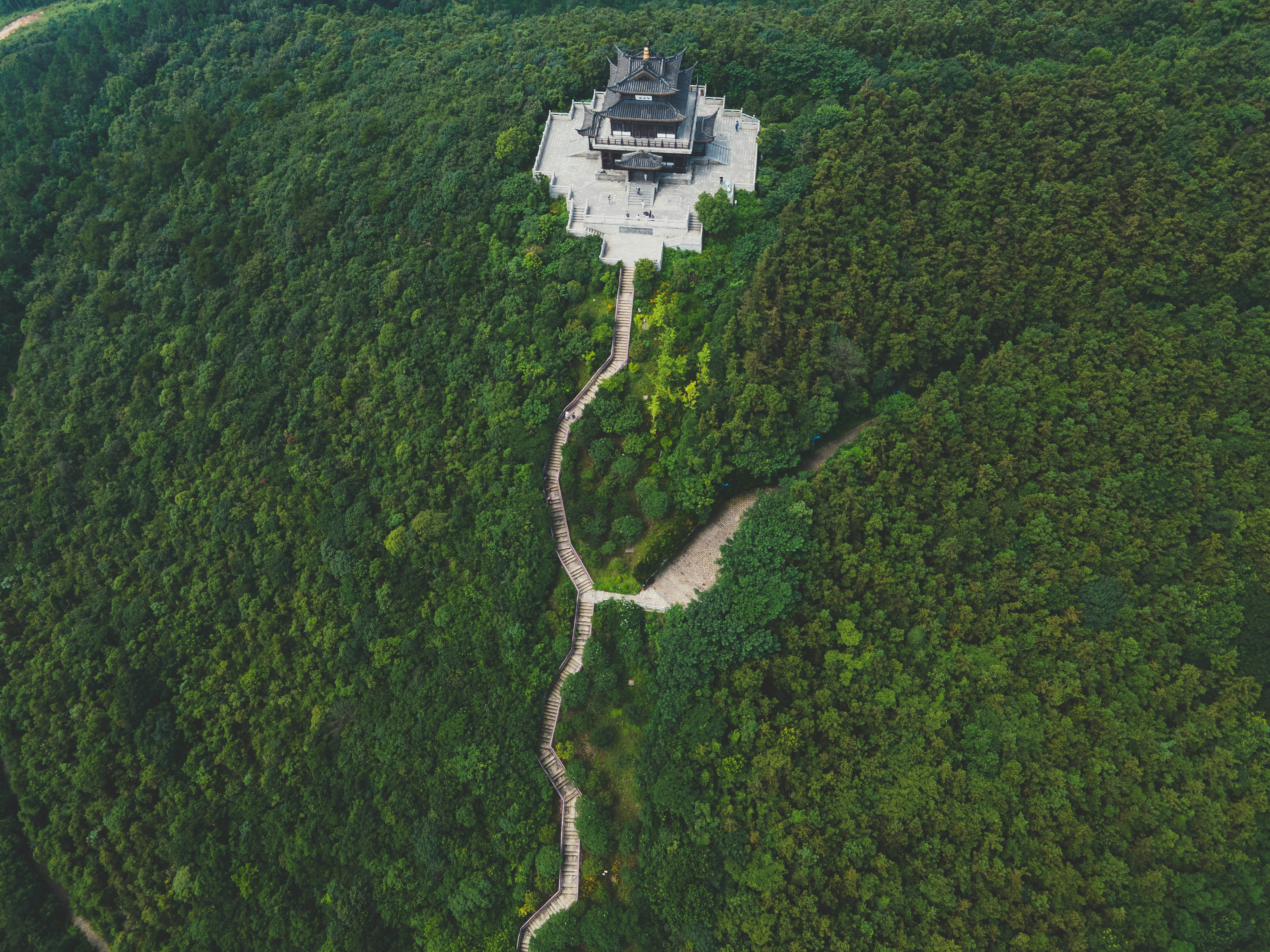 aerial view of green forest during daytime