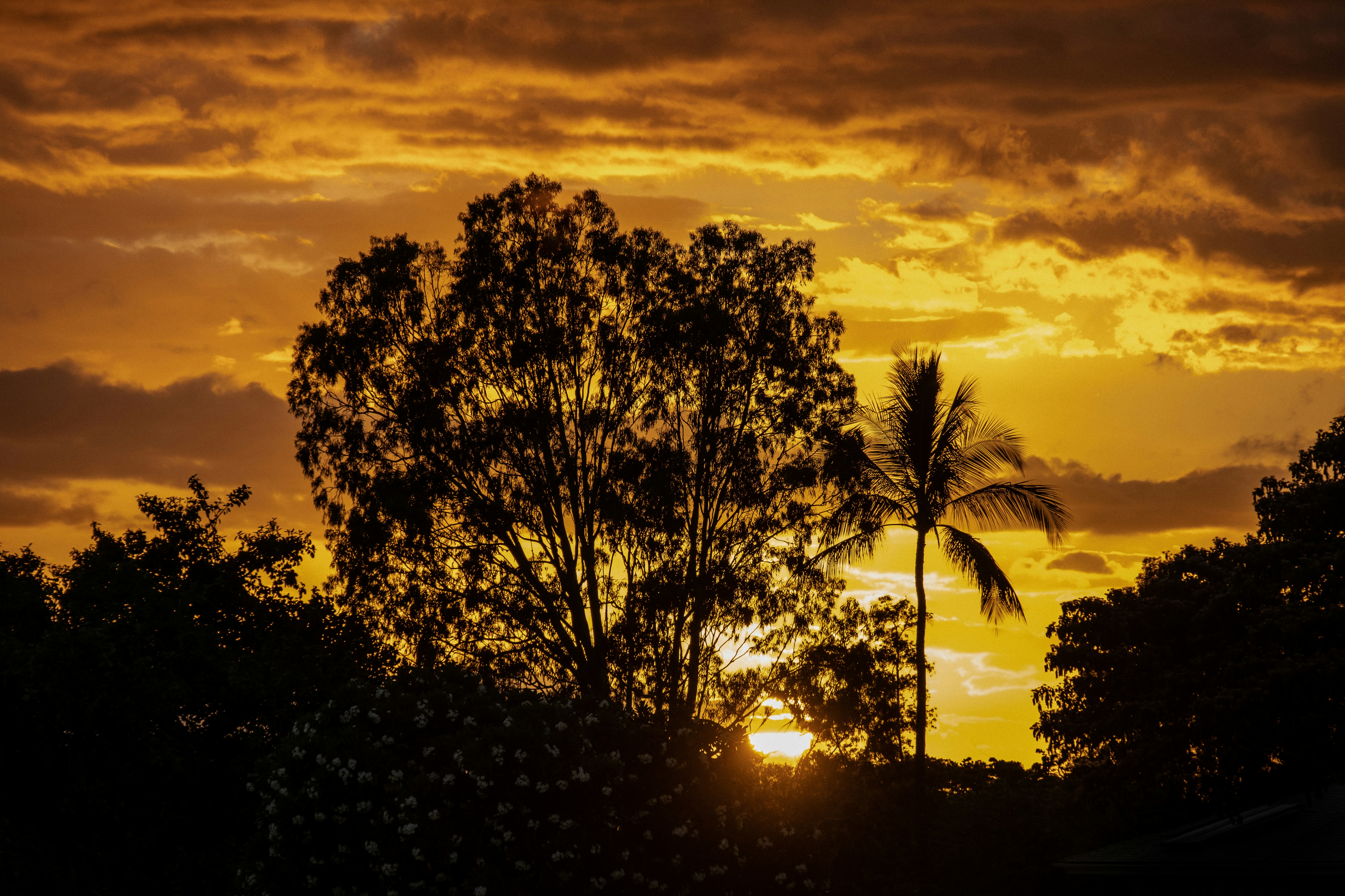 Photo by alanrodriguez