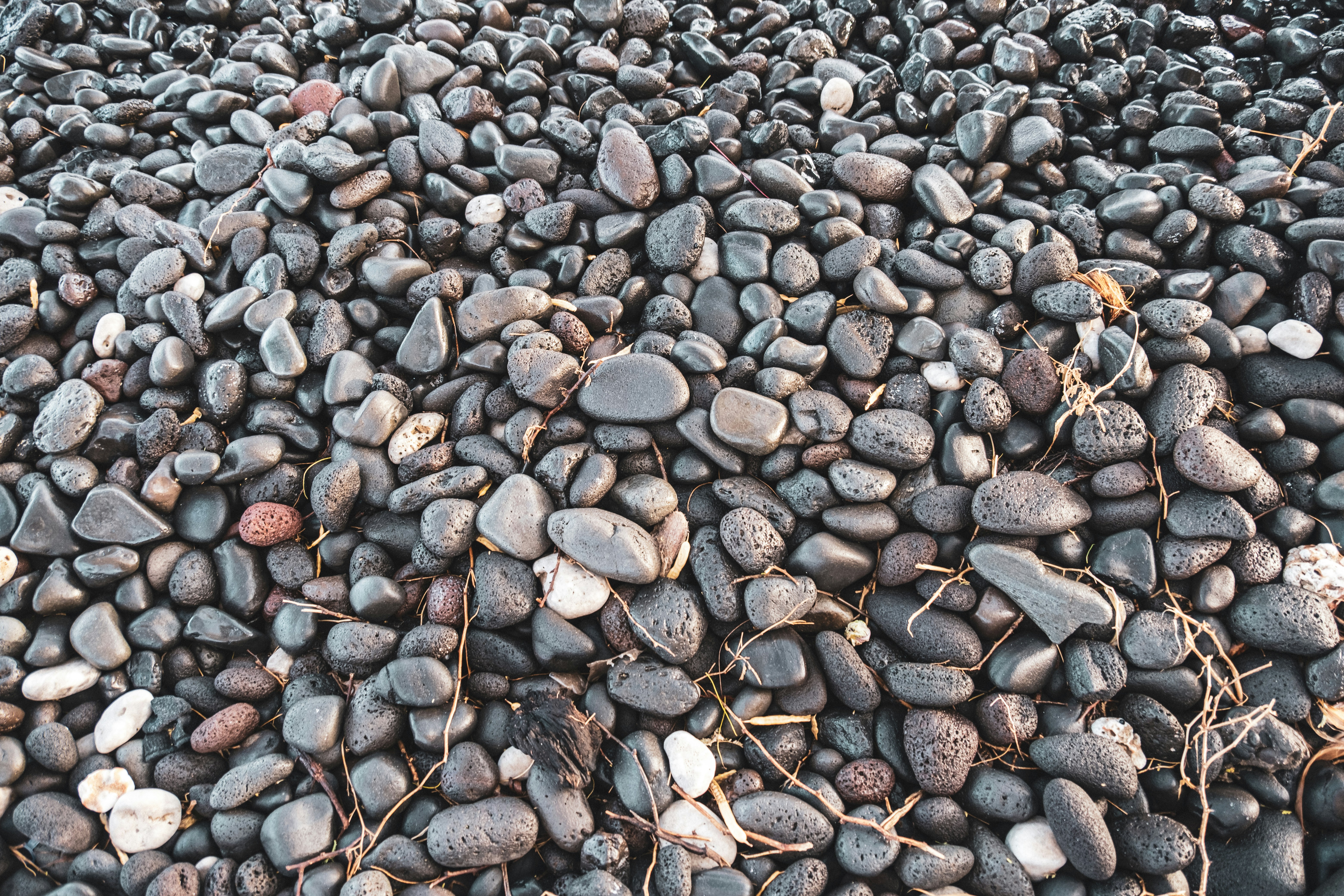 Photo by alanrodriguez