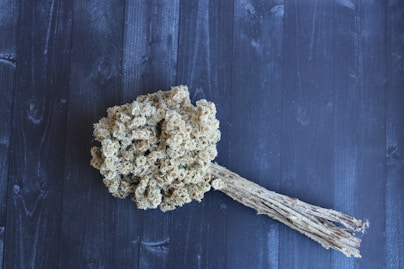 white and brown plant on brown wooden surface