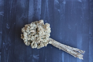 white and brown plant on brown wooden surface