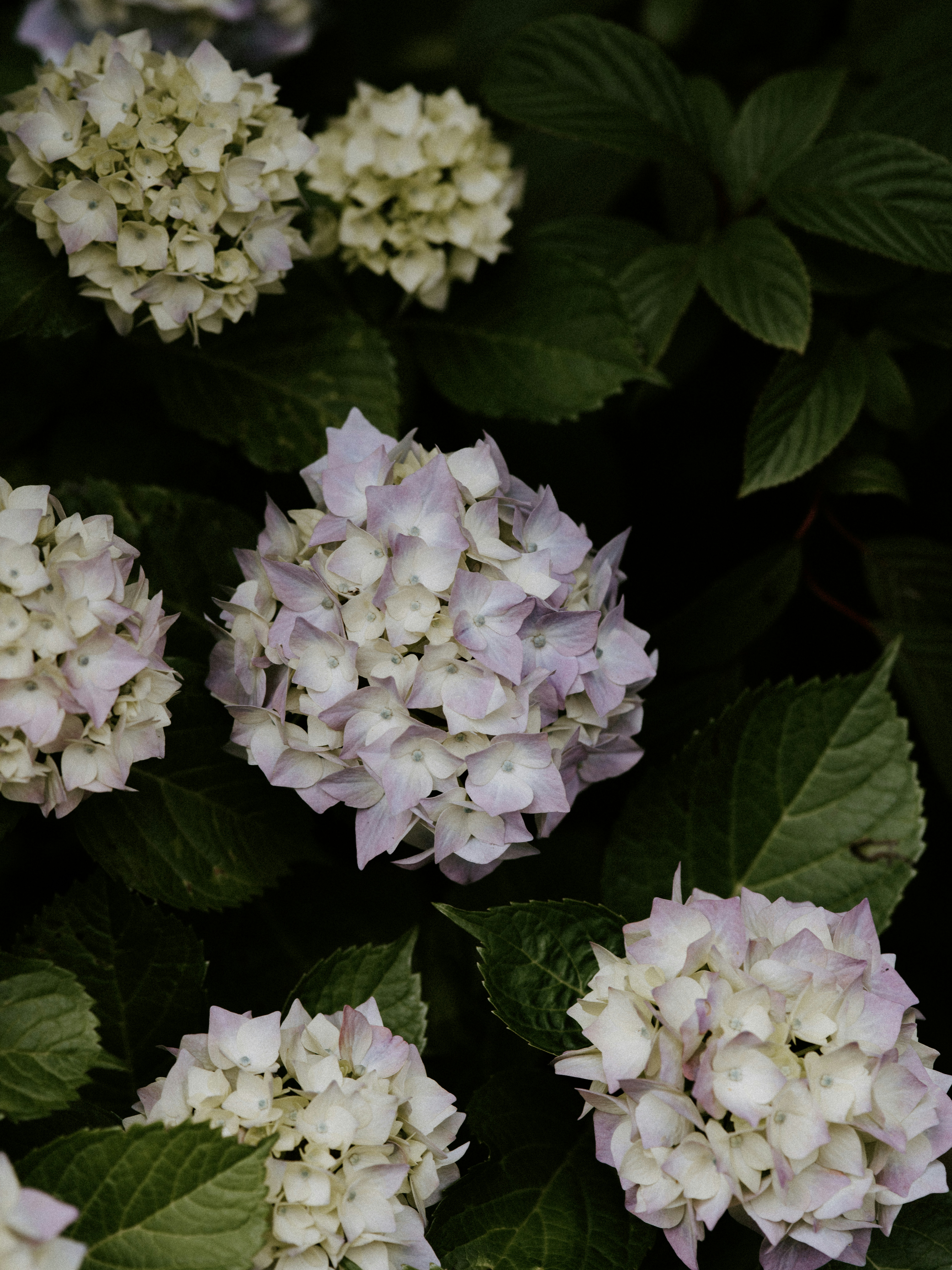 Photo by anniespratt