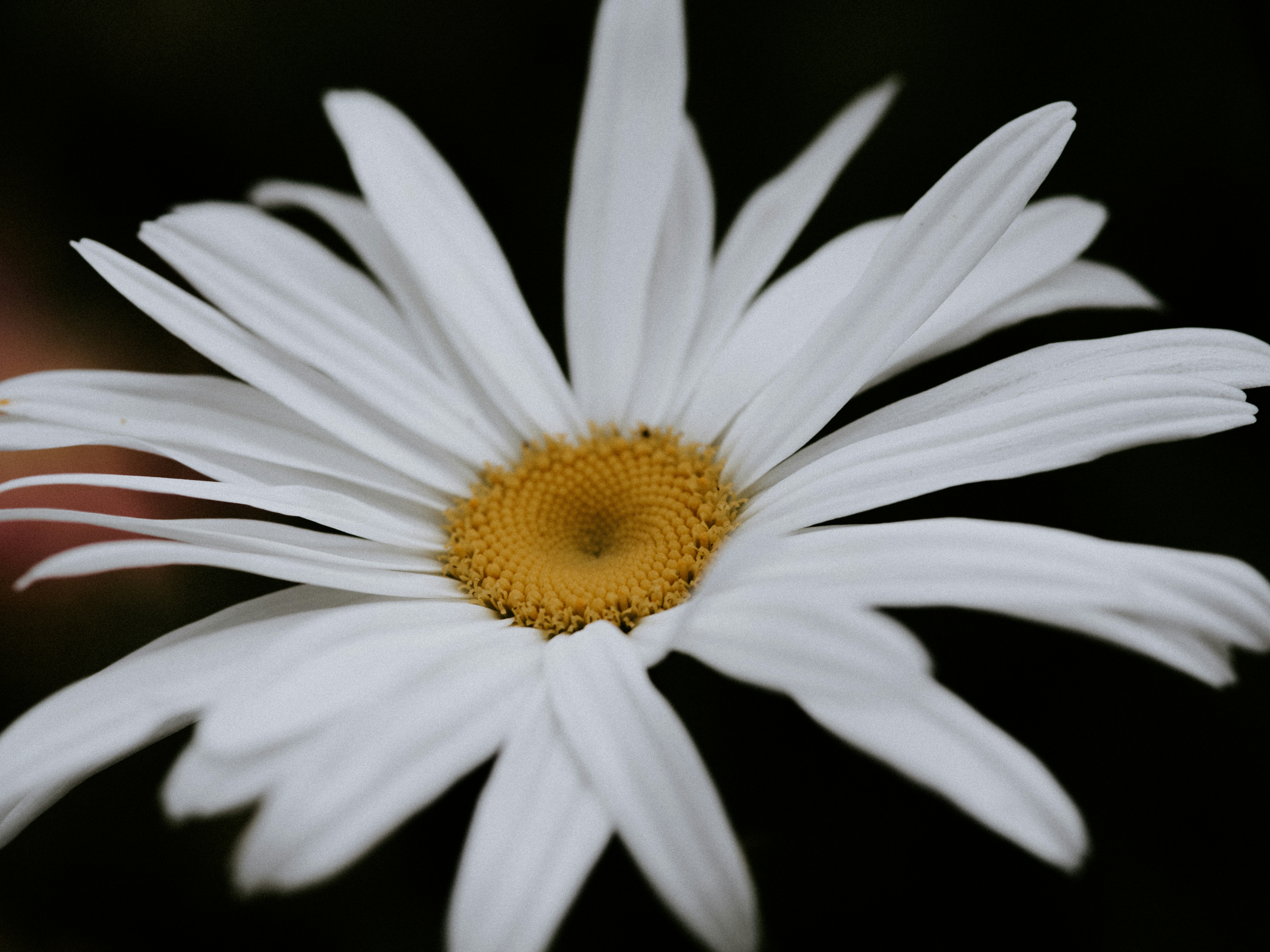 Photo by anniespratt