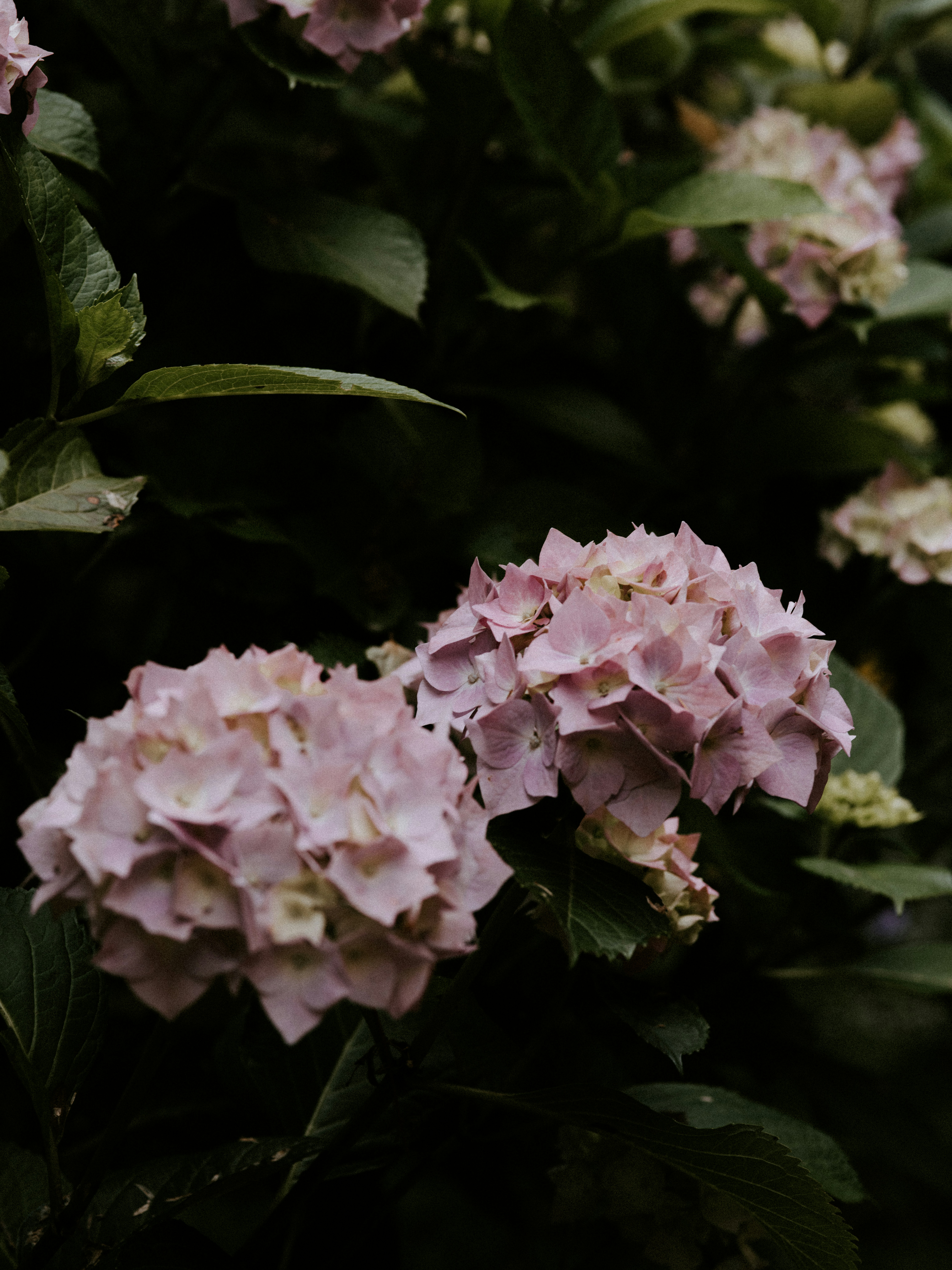 Photo by anniespratt