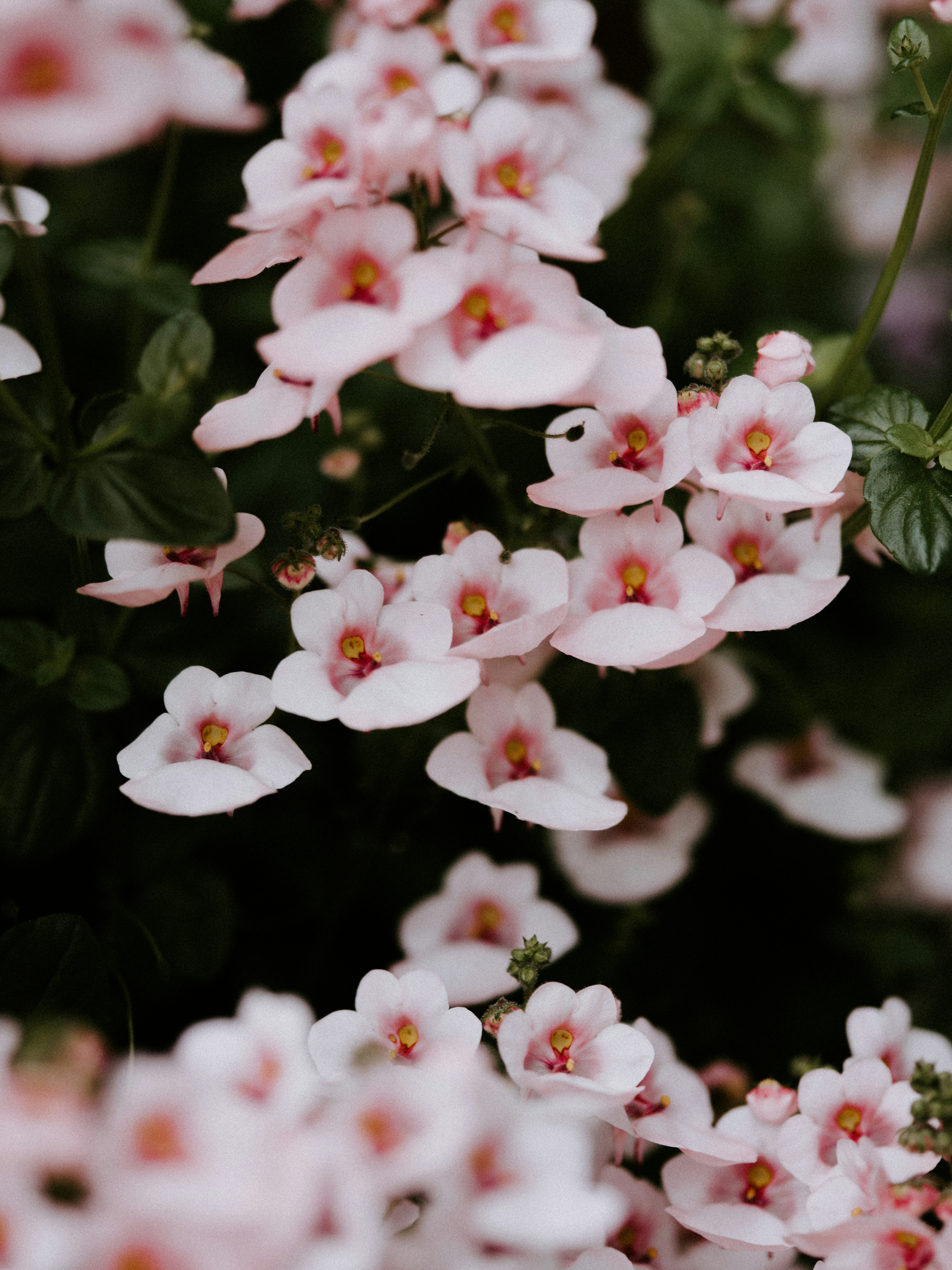 Photo by anniespratt