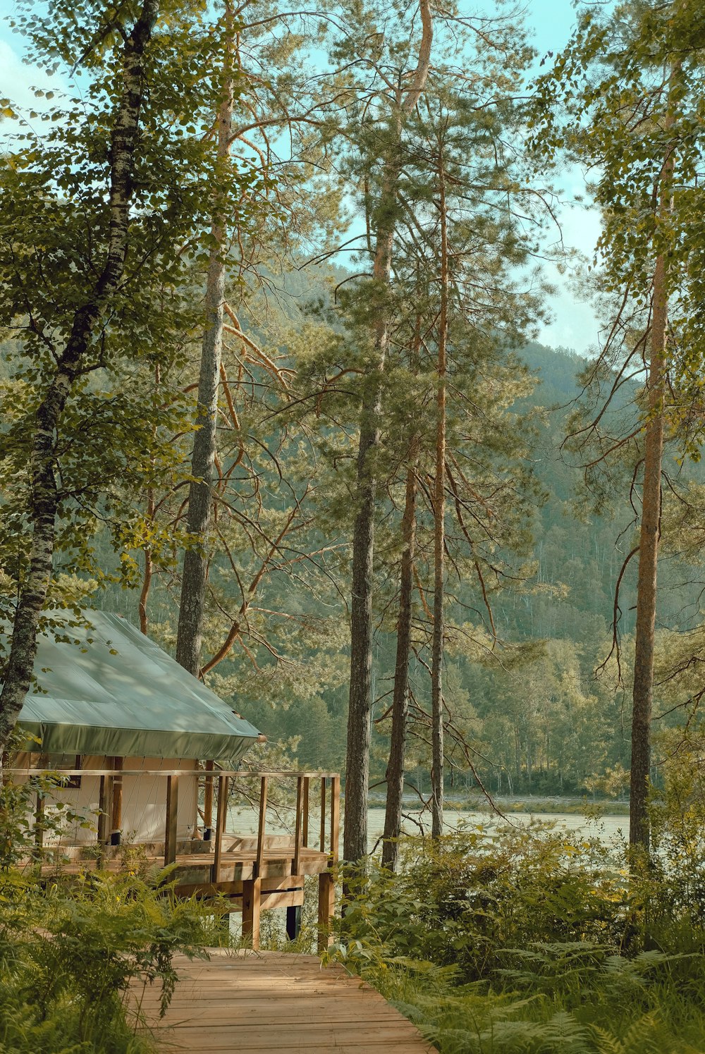 brown wooden house surrounded by trees