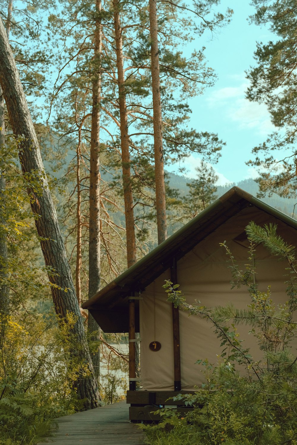 white wooden house surrounded by trees during daytime