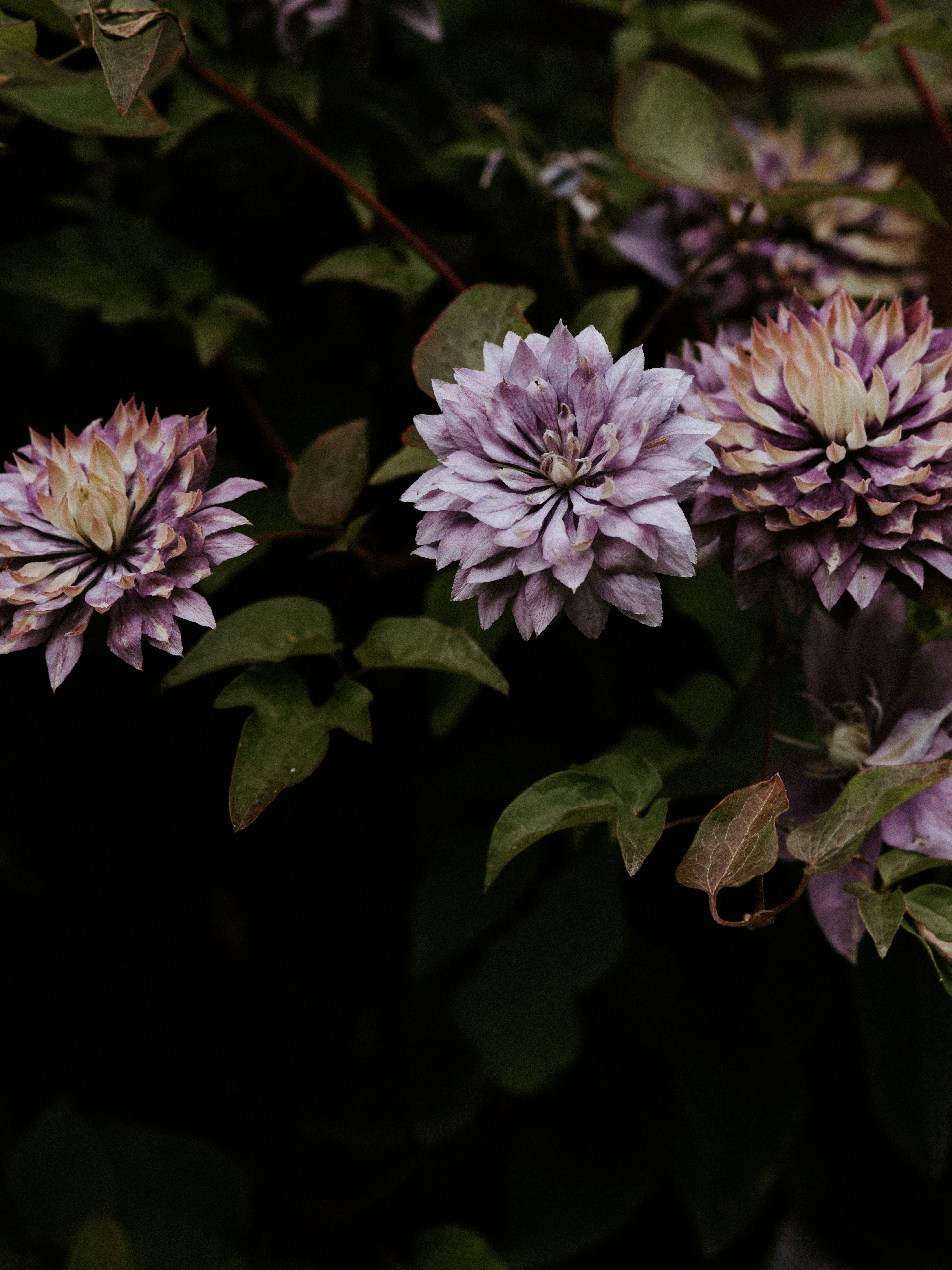 Photo by anniespratt