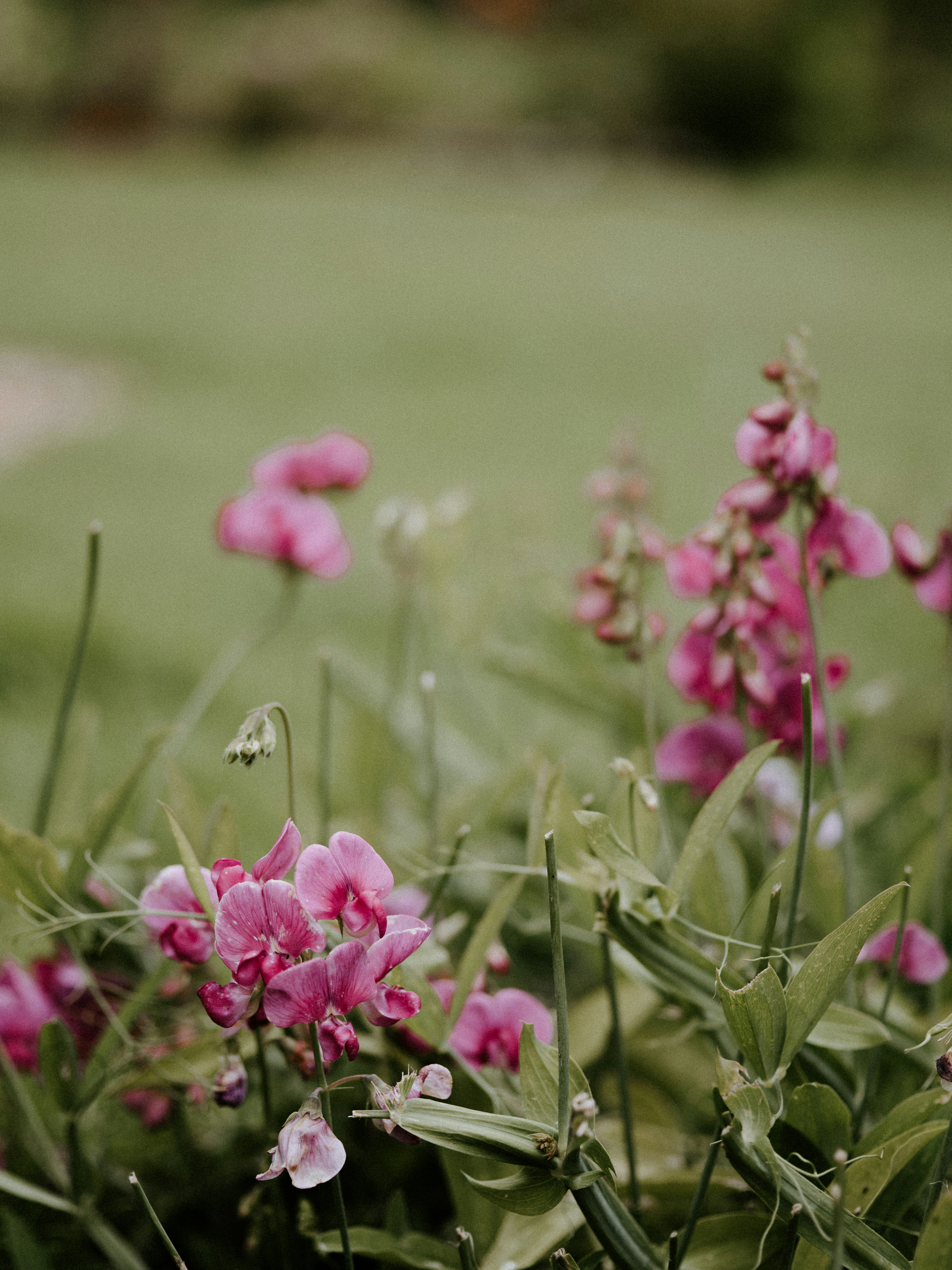 Photo by anniespratt