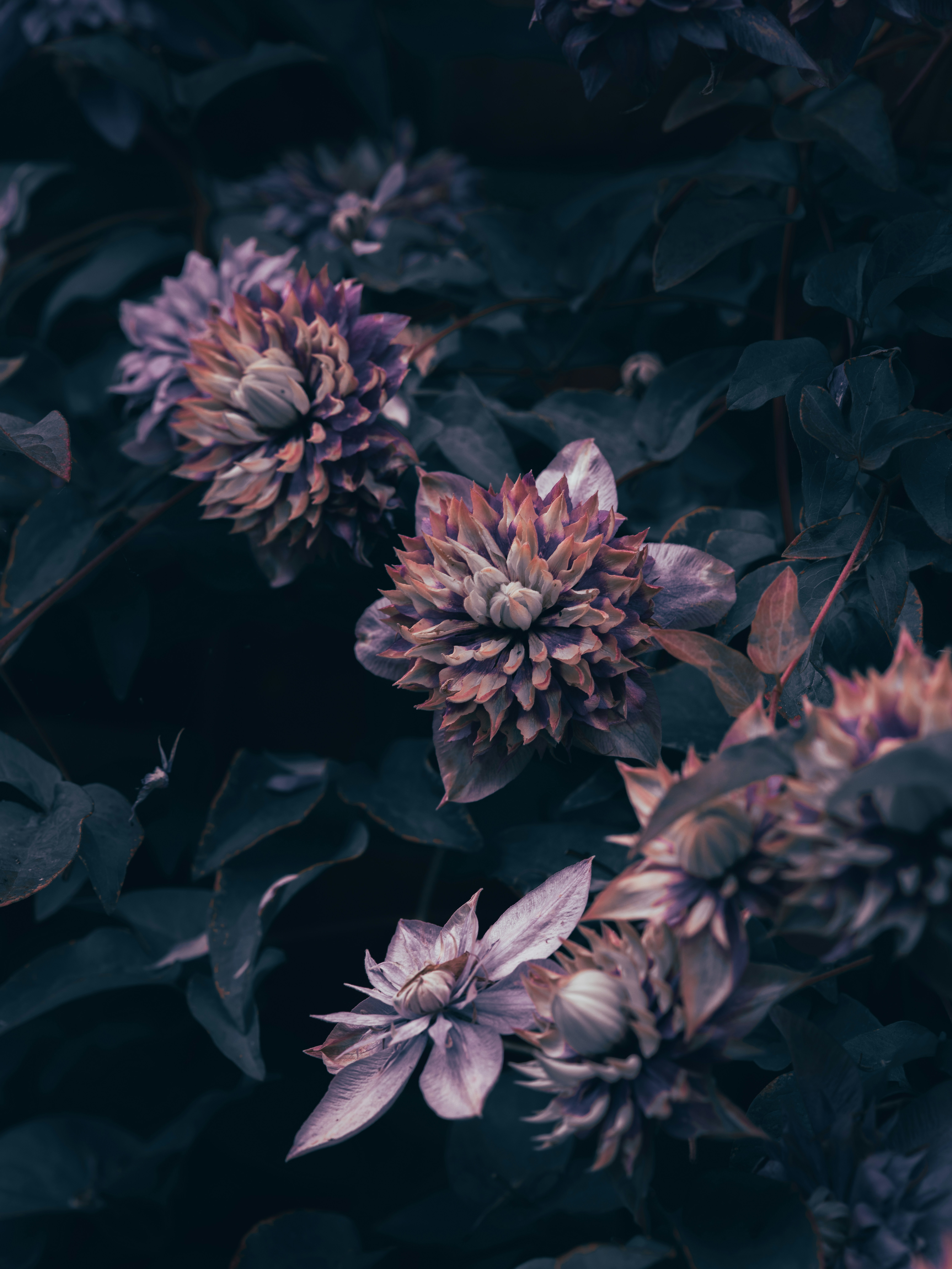 Photo by anniespratt