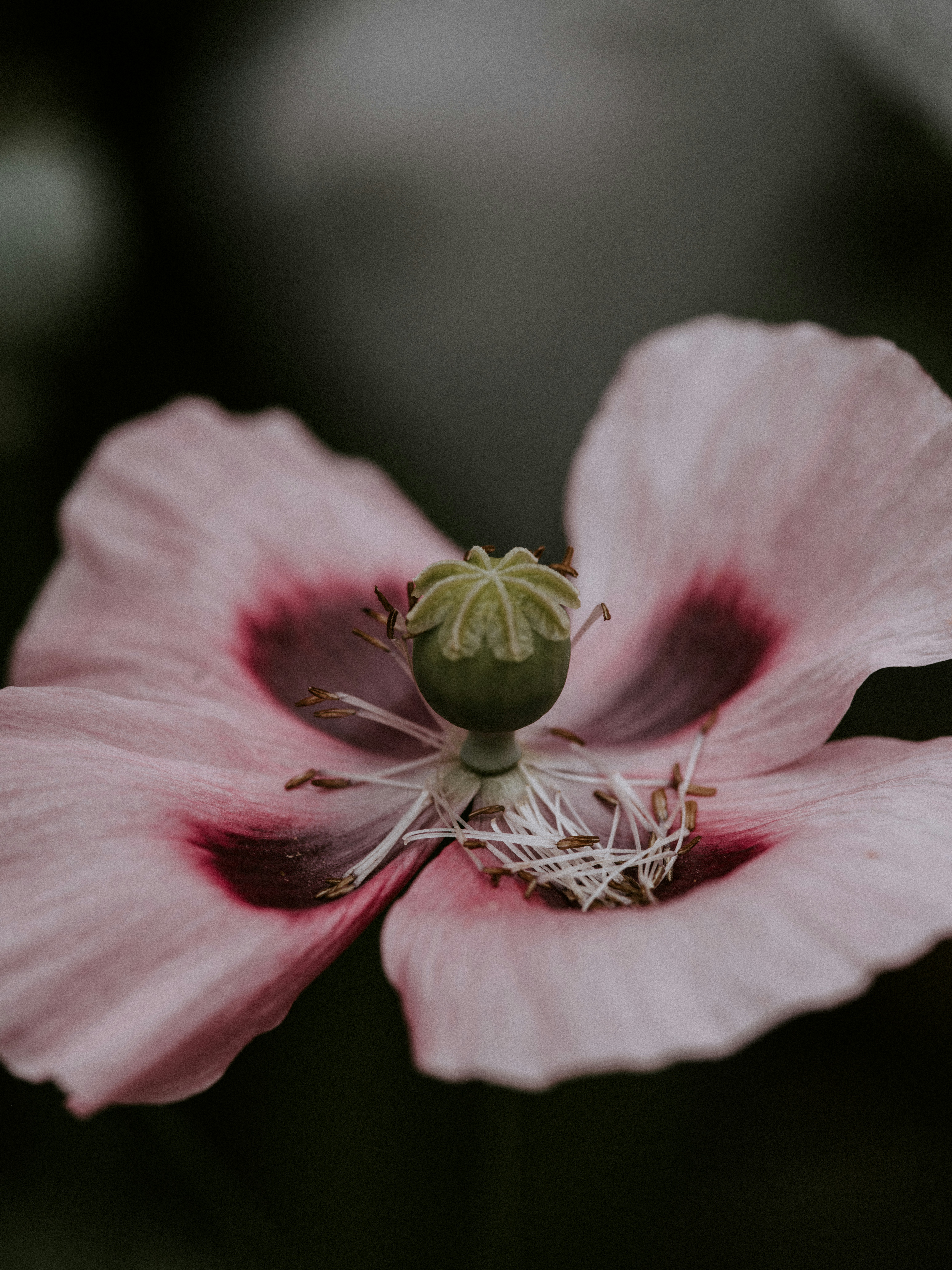 Photo by anniespratt