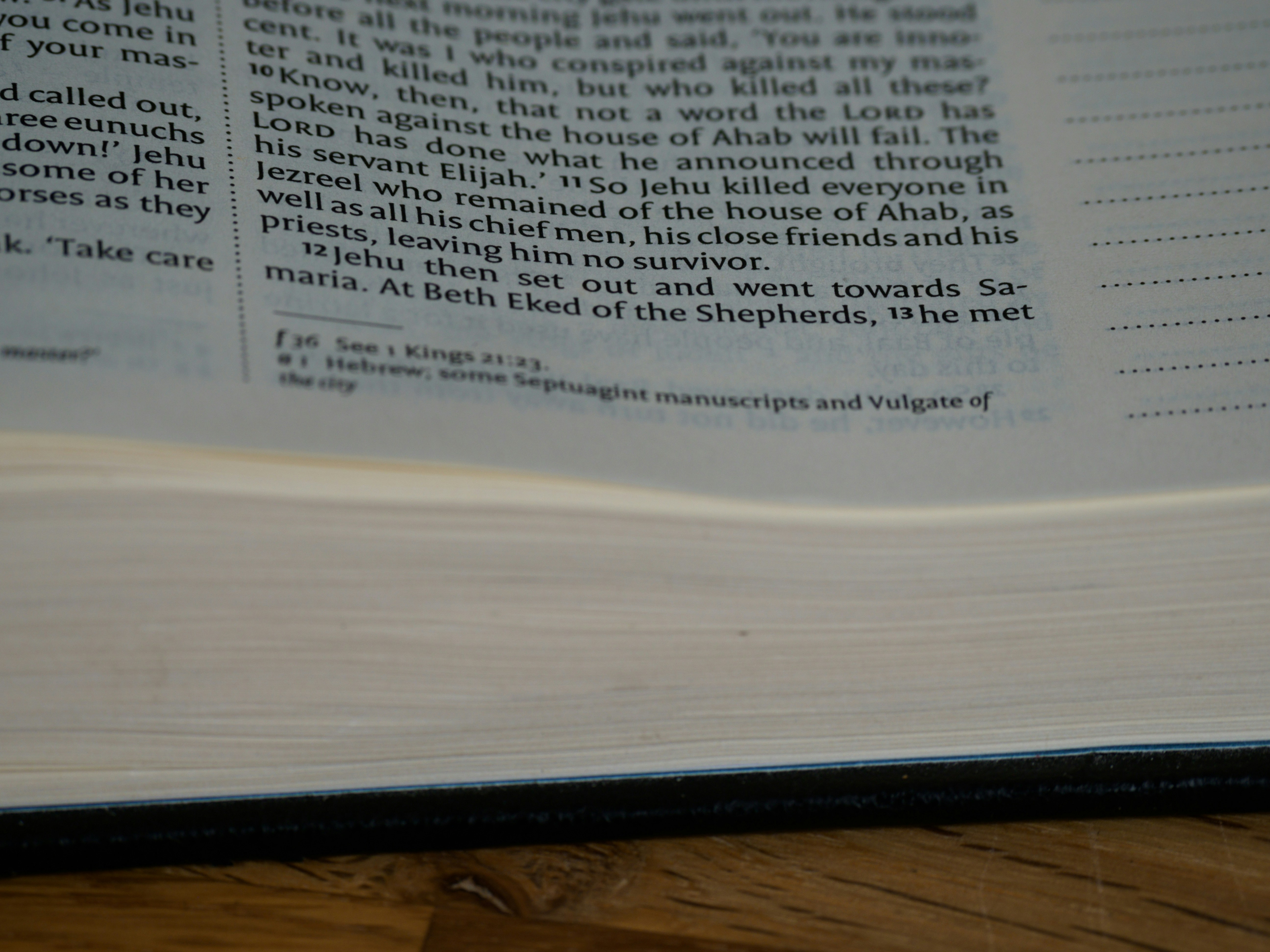 Photo by brett_jordan