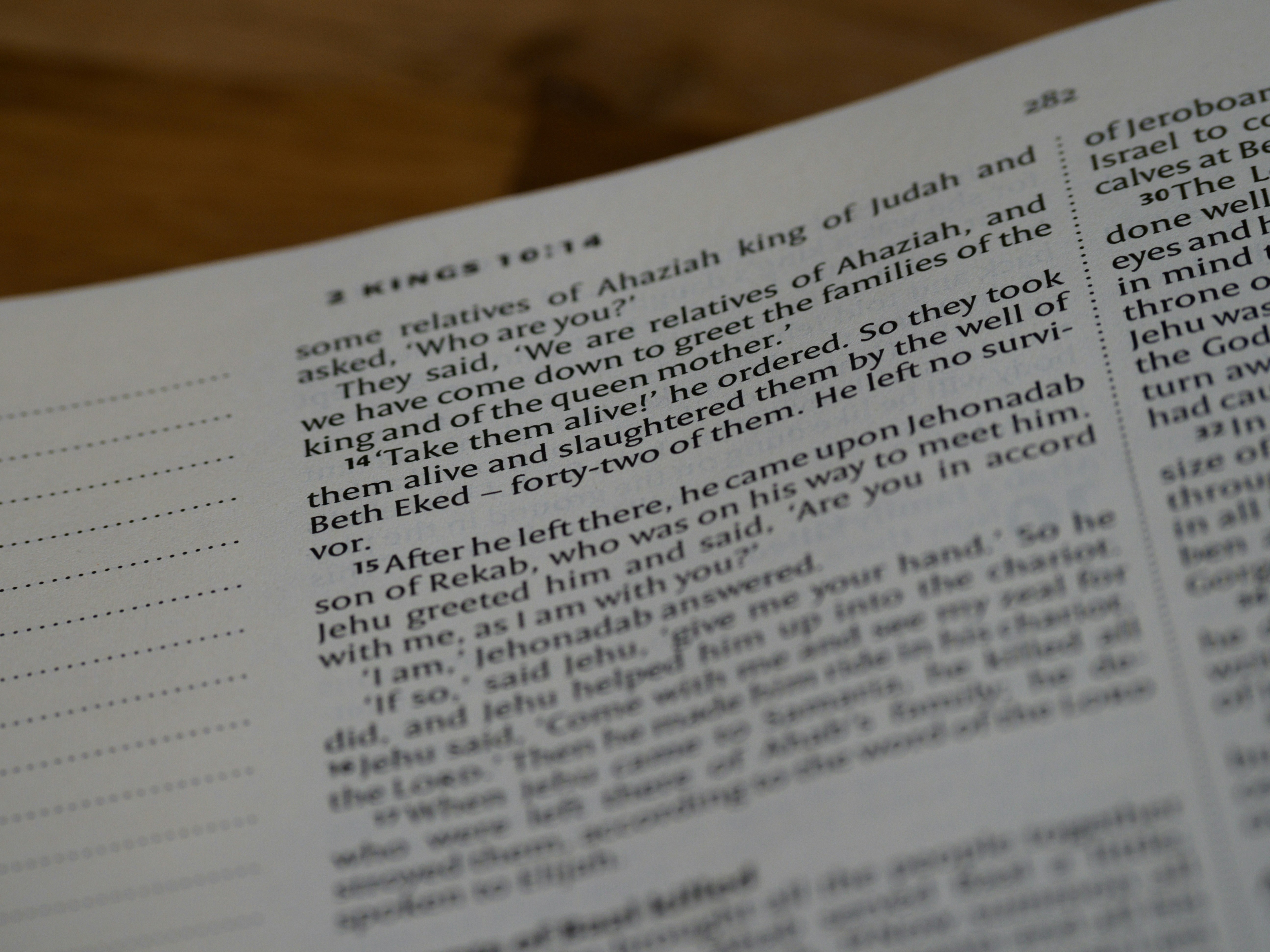 Photo by brett_jordan