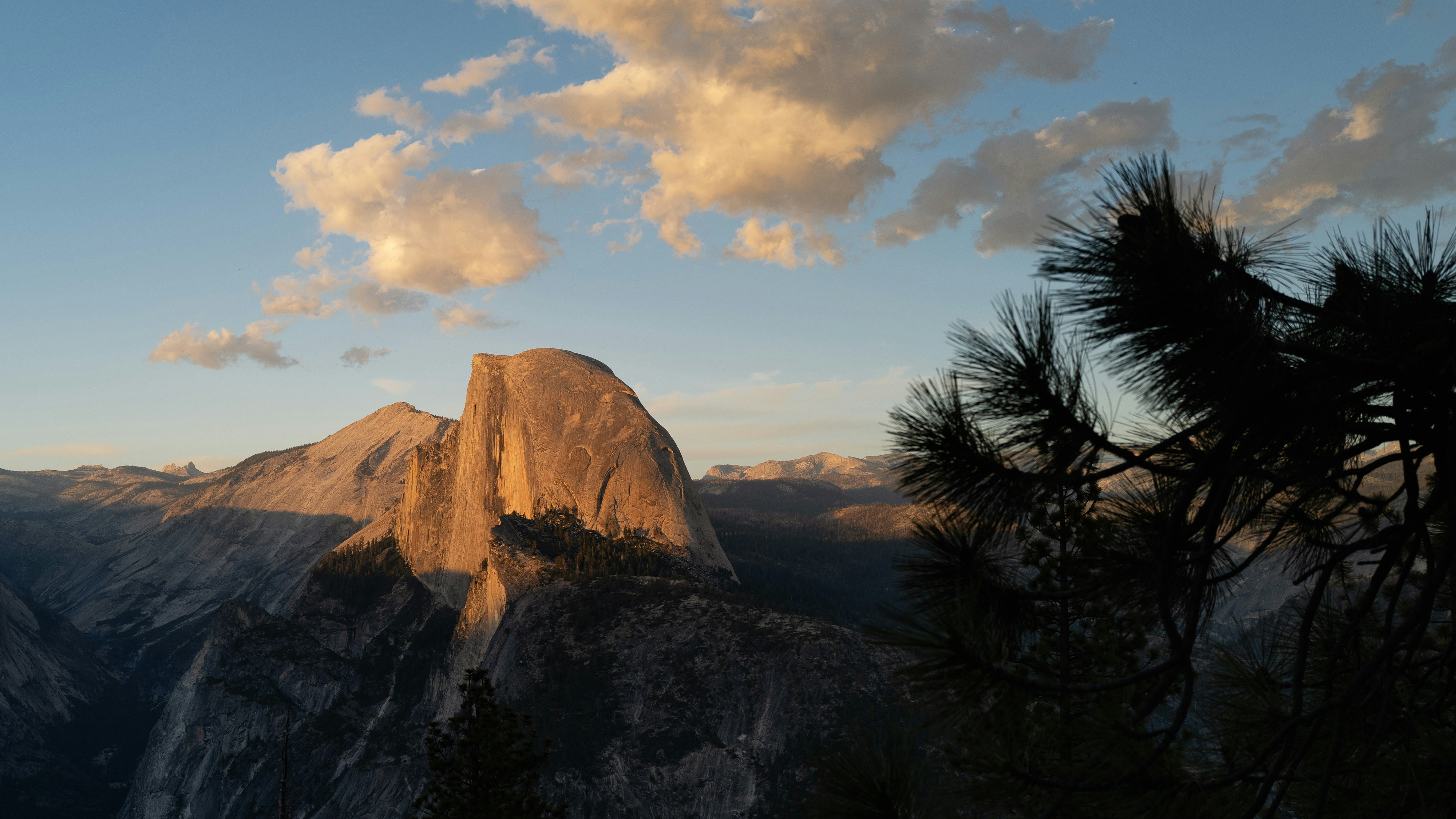 Photo by thommilkovic