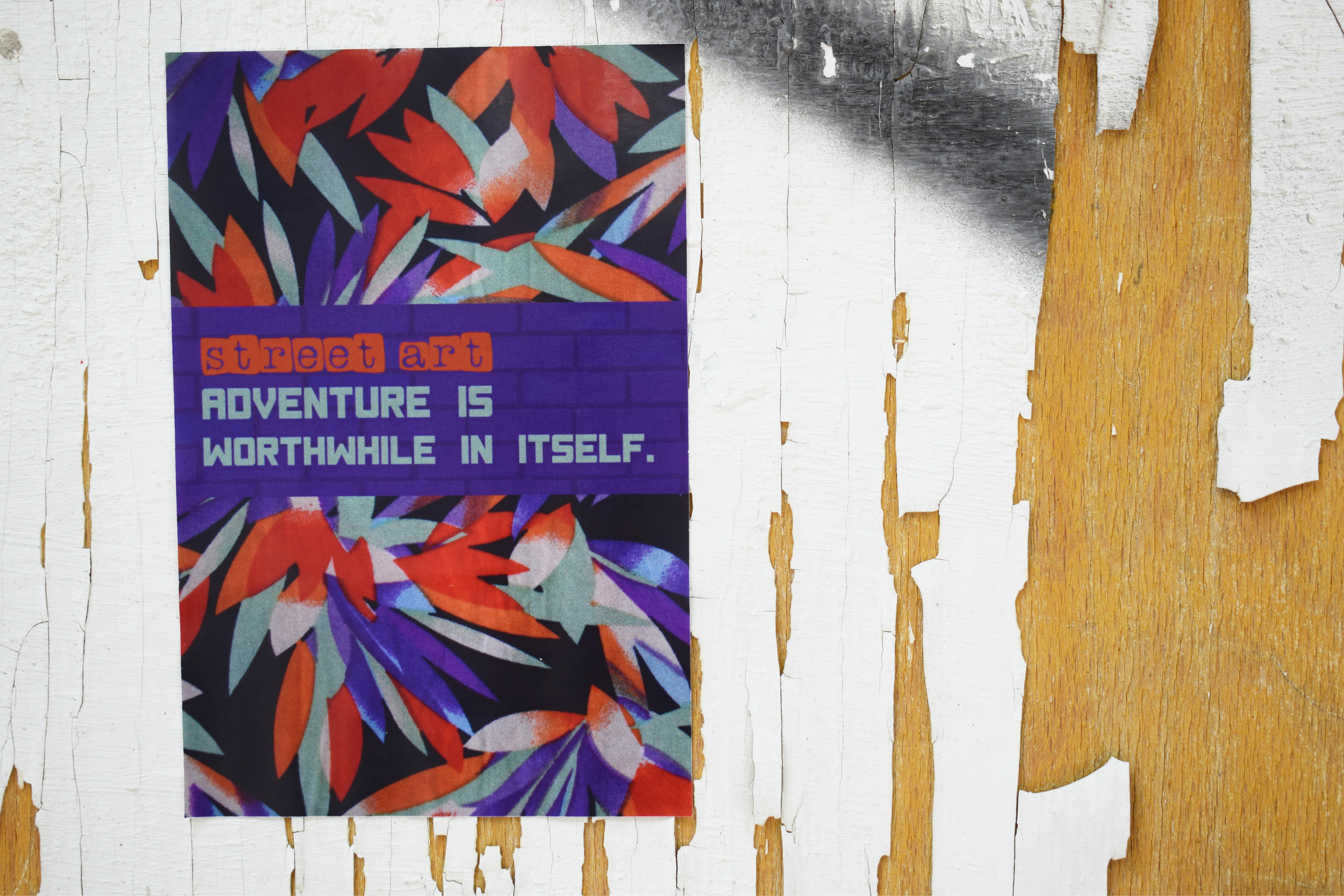 blue and white labeled book