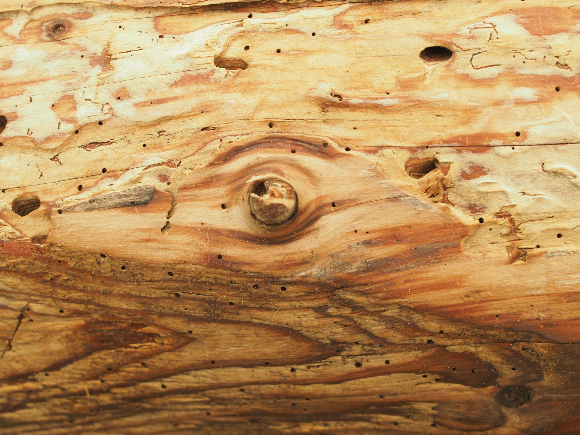 brown wooden surface with hole