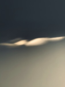 An abstract representation of human and AI collaboration with gentle gradients and light.