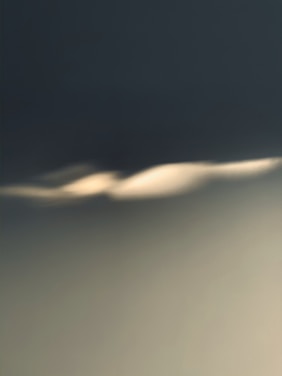 A soft abstract nature-inspired background with gentle light and shadow play.