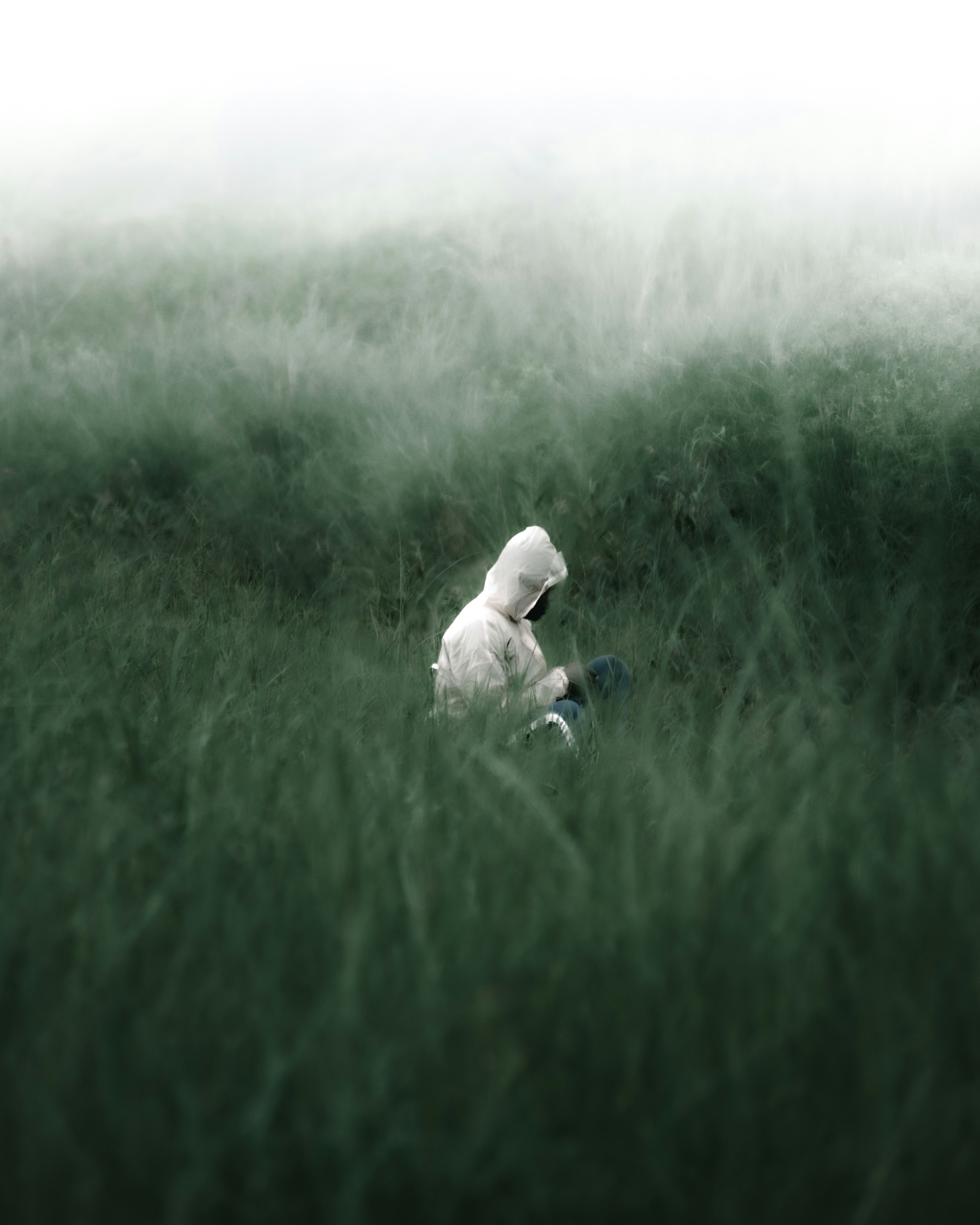 Photo by nexus_photography