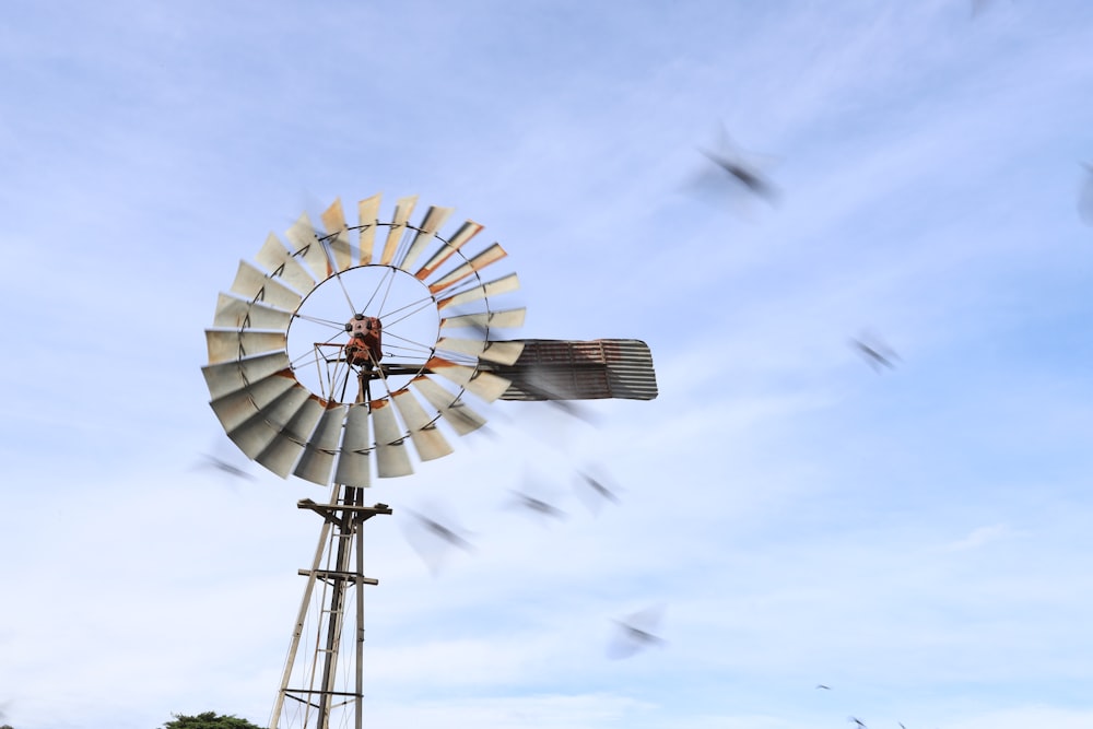 white and brown ferris wheel under blue sky during daytime