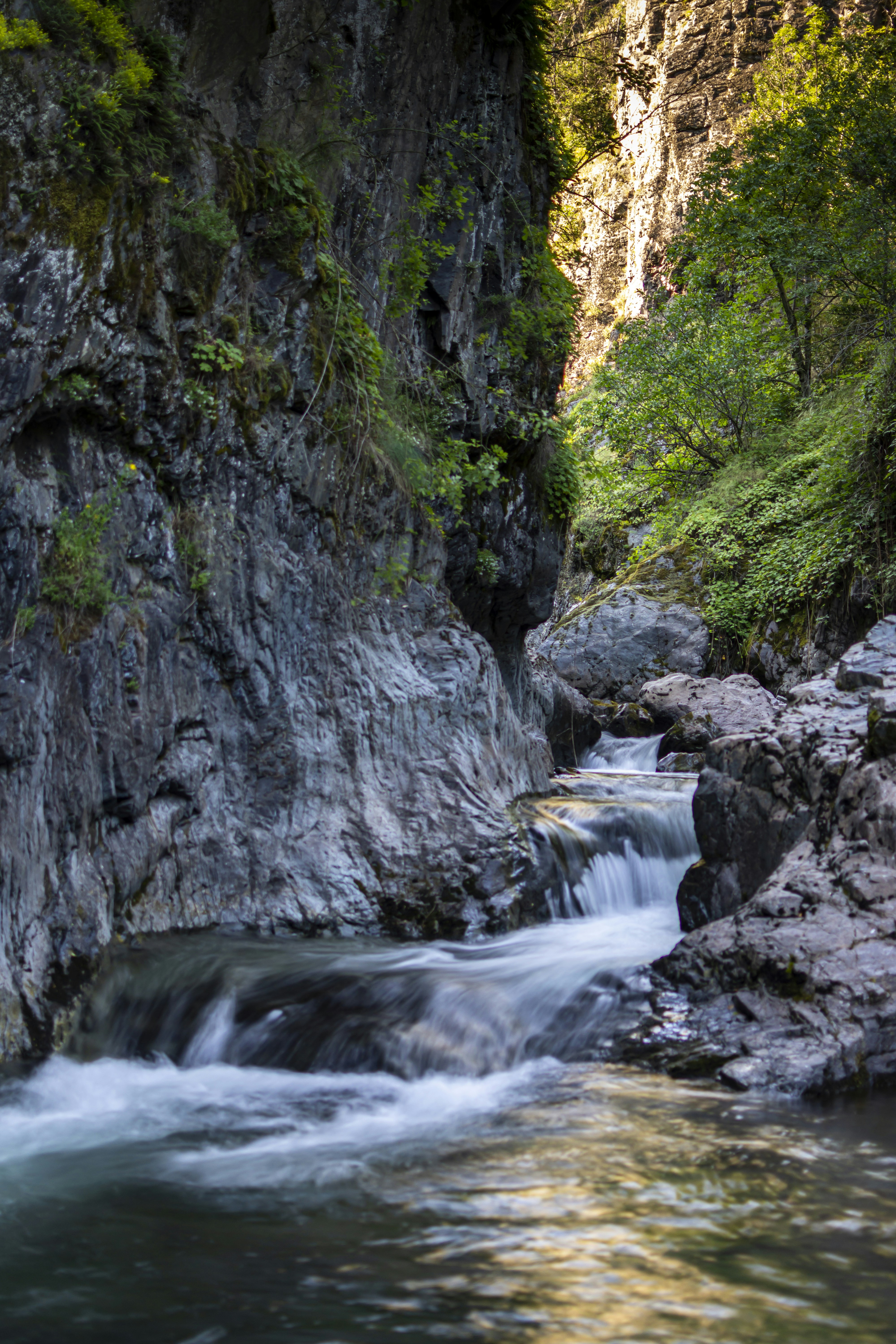 Photo by milen_kolev