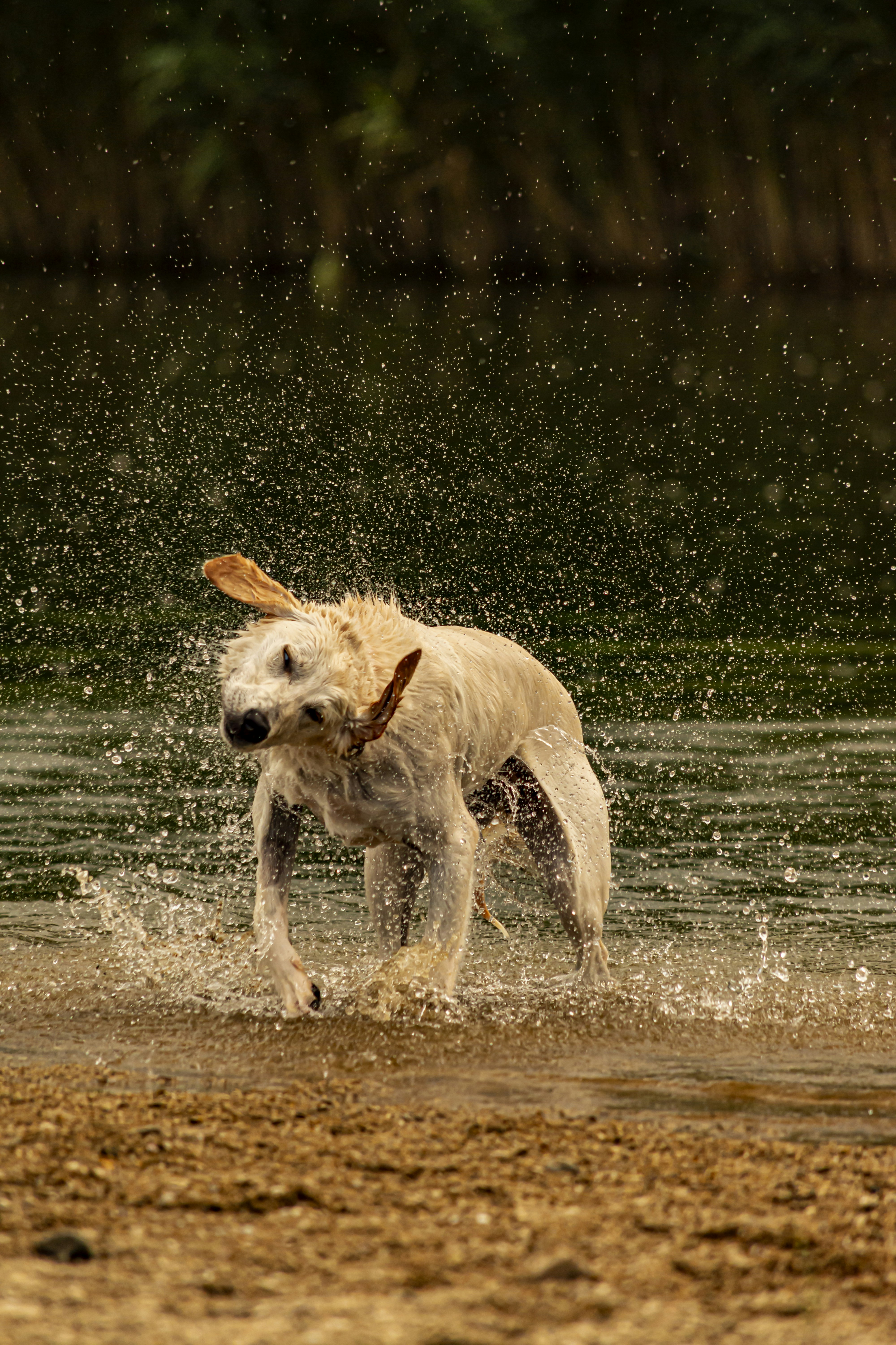 Photo by milen_kolev