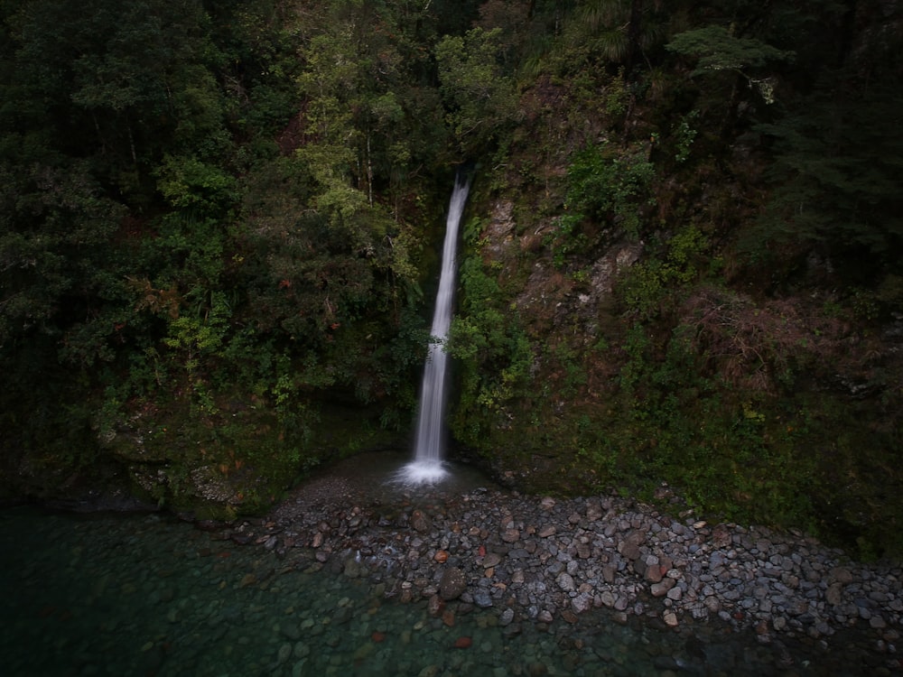 water falls in the middle of the forest