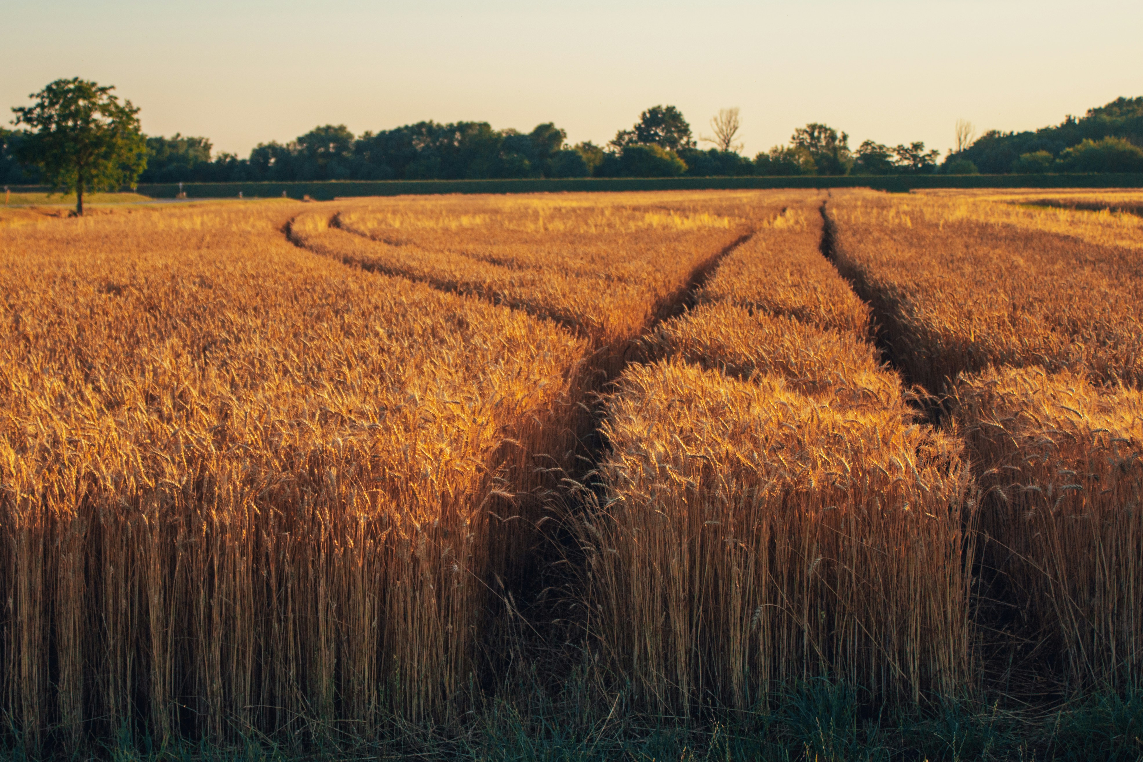 Photo by erdeiphotography