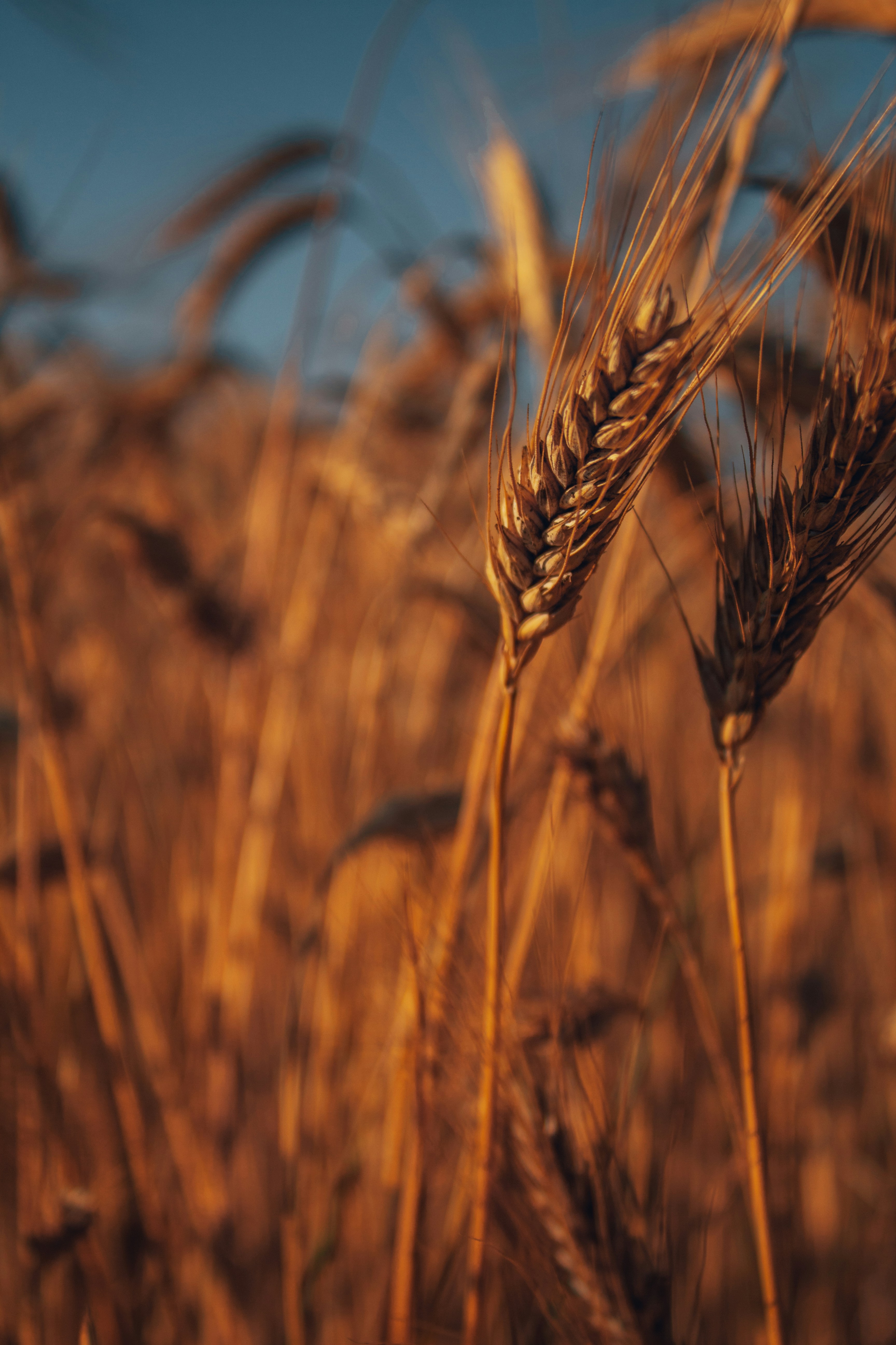 Photo by erdeiphotography