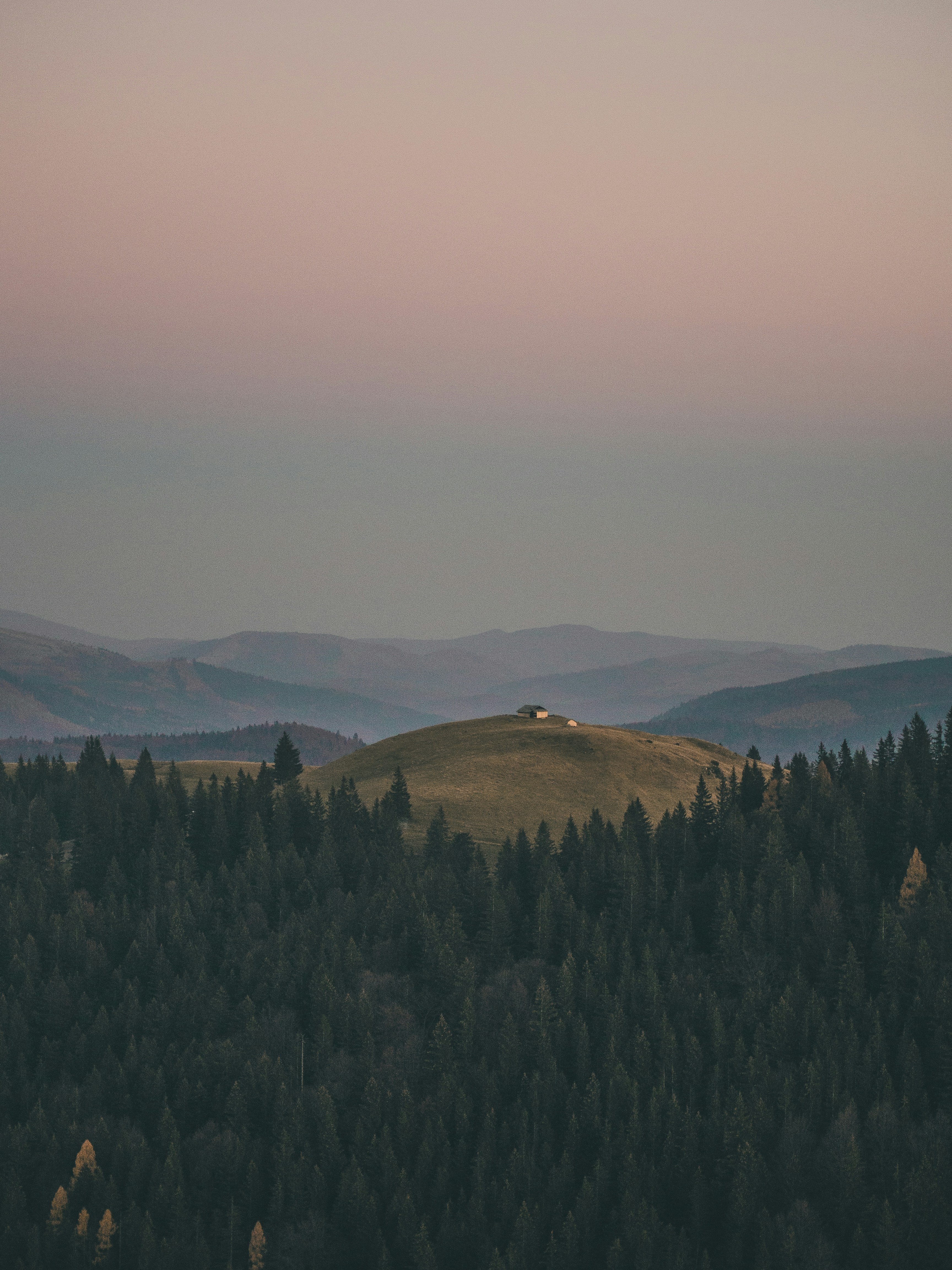 green trees on mountain under white sky during daytime
