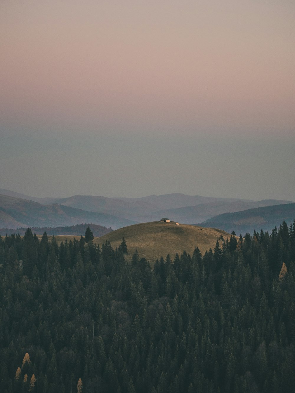 green trees on mountain under white sky during daytime