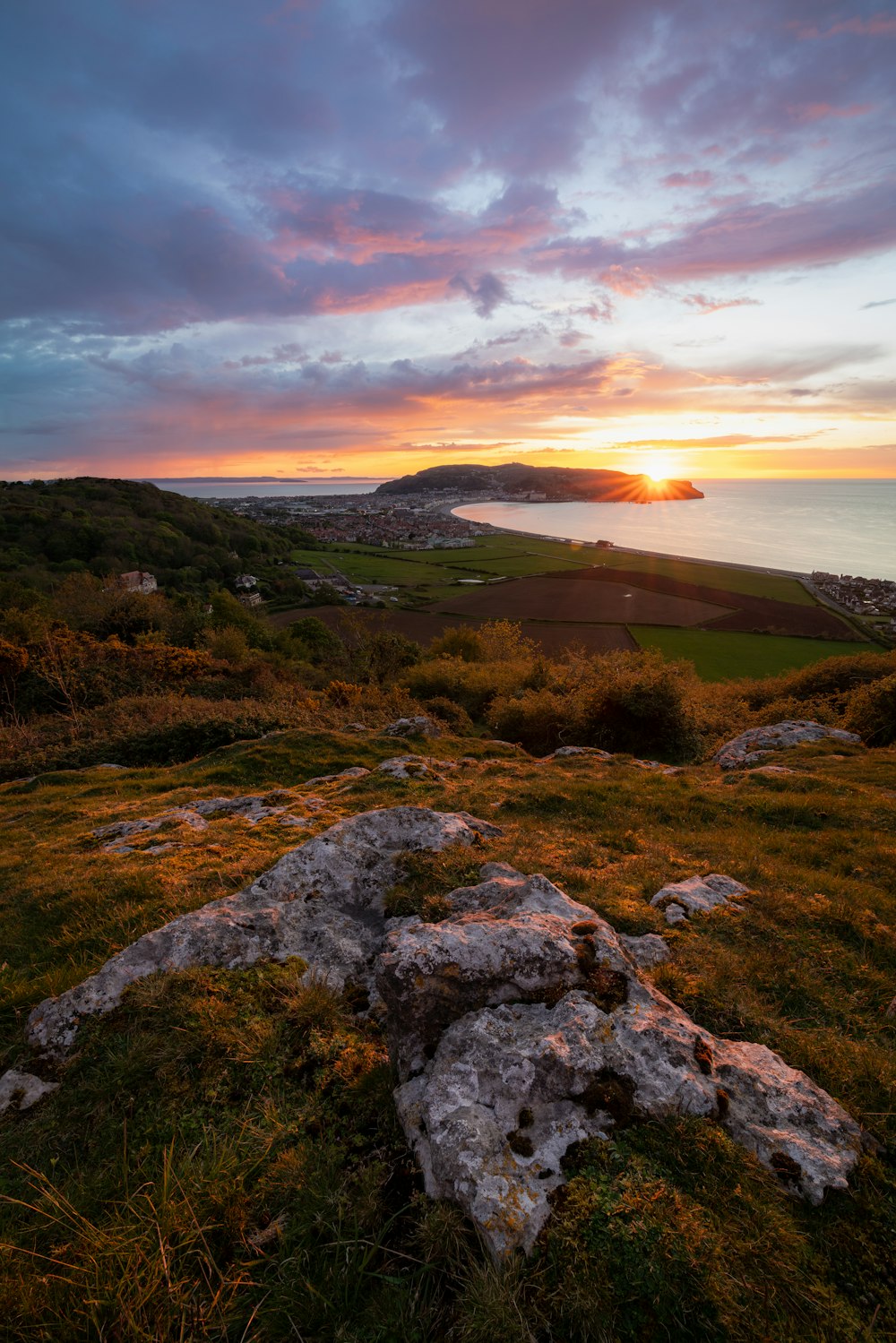 green grass field near body of water during sunset