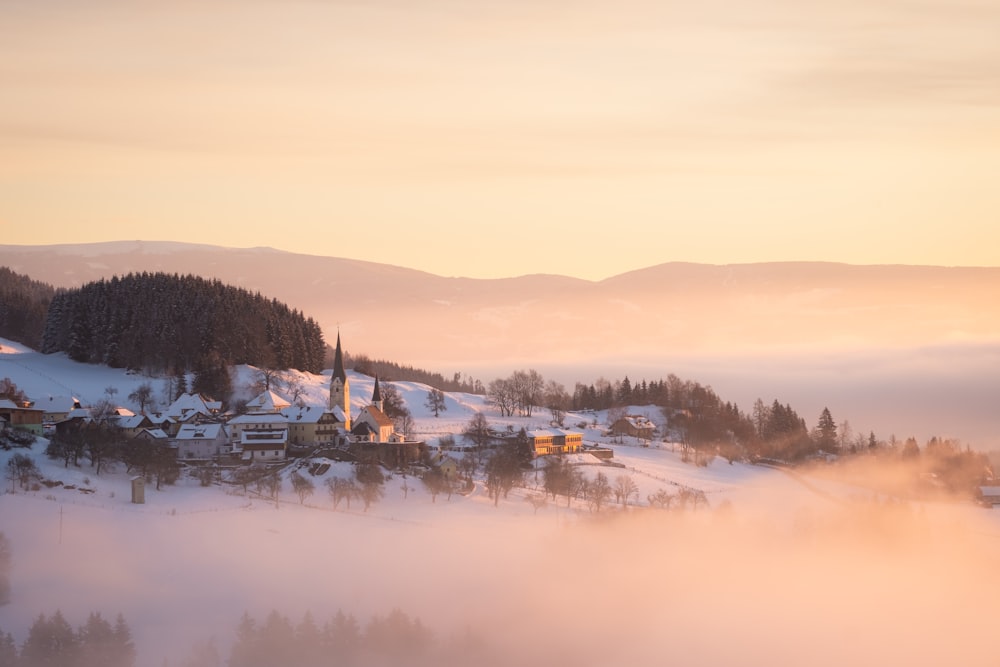 houses on snow covered ground near trees during daytime