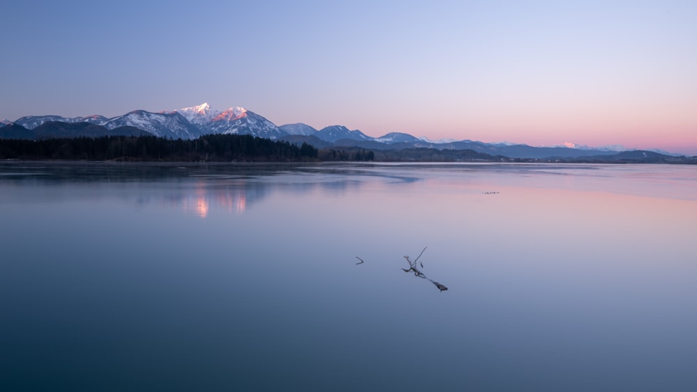 lake and mountains during day time