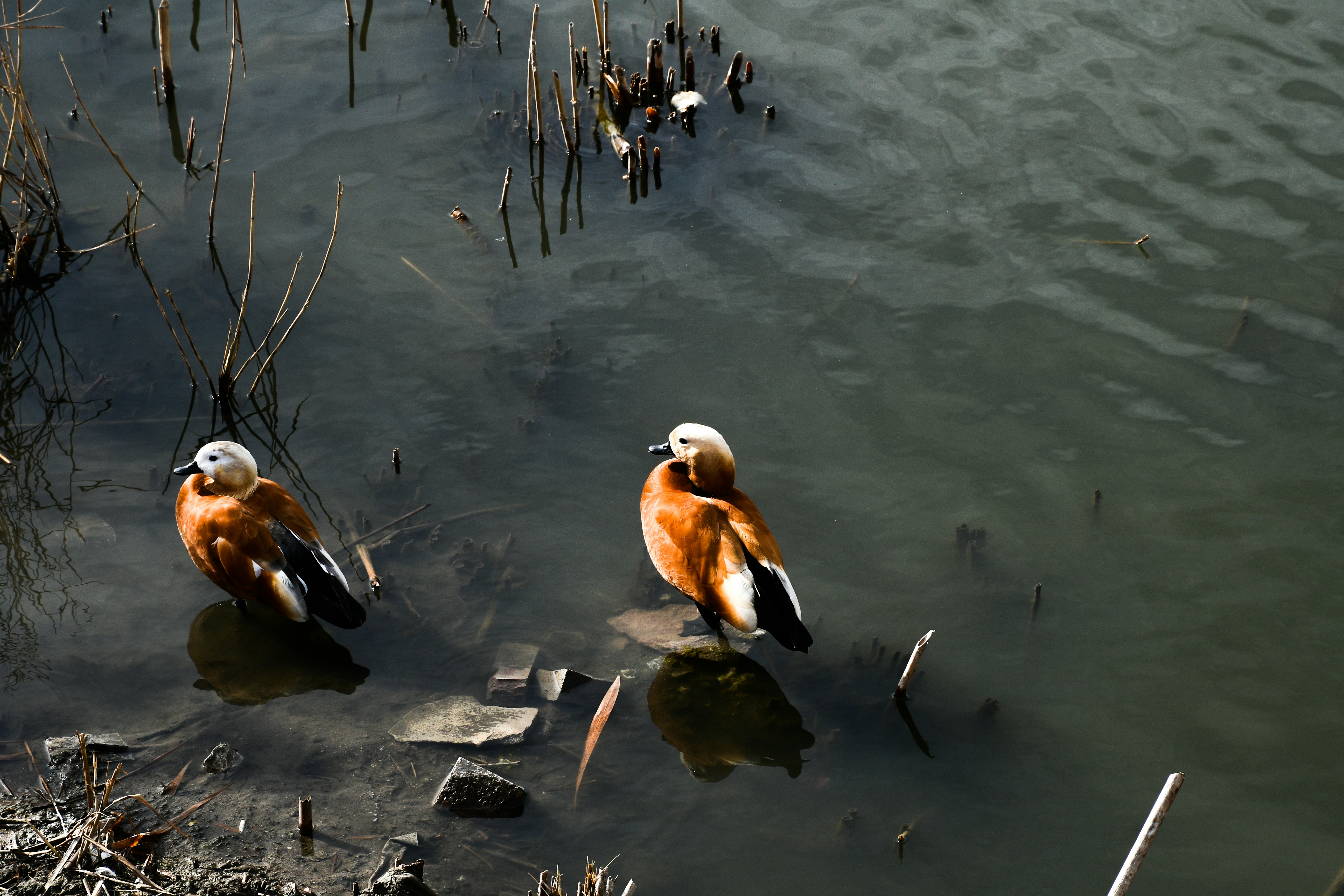 Photo by oskaycaglar