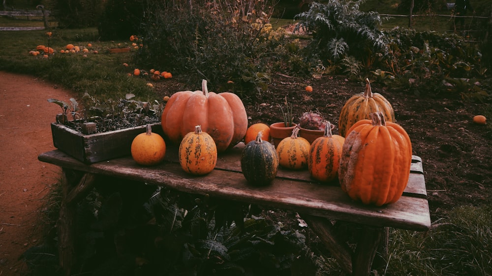 orange pumpkins on black wooden table