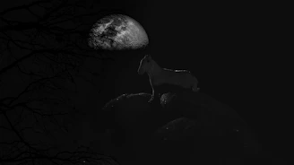 Illustration of the Capricorn zodiac symbol with a mountain goat climbing steep rocks under a starry night sky