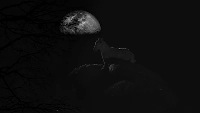 Illustration of the Capricorn zodiac symbol with a mountain goat climbing steep rocks under a starry night sky