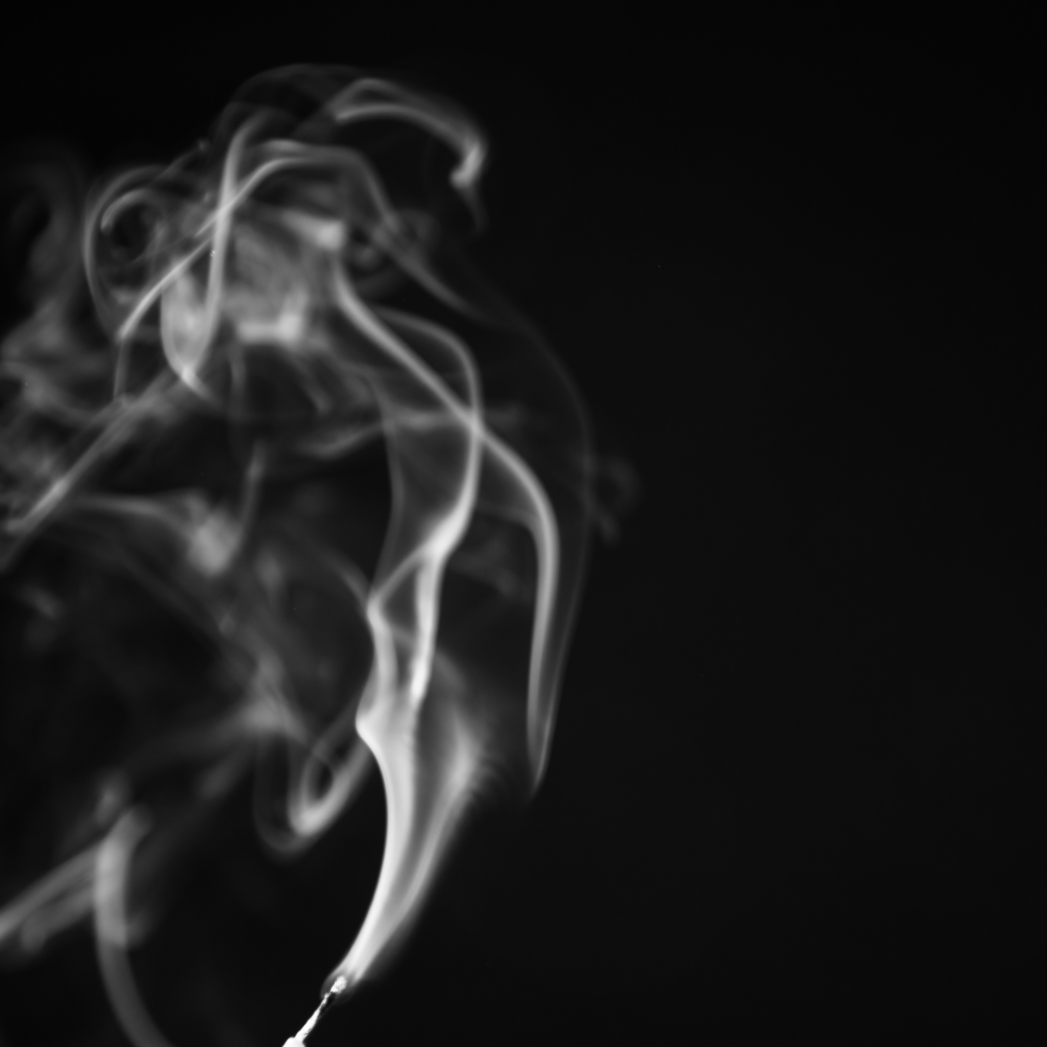 黒い背景に白い煙の写真 Unsplashで見つける煙の無料写真