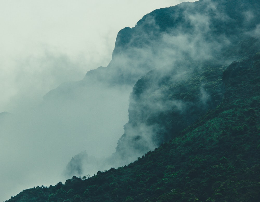 green mountain covered with fog