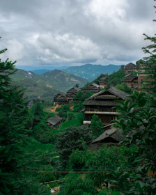Traditional Himachali wooden houses lined up along a winding forest path.
