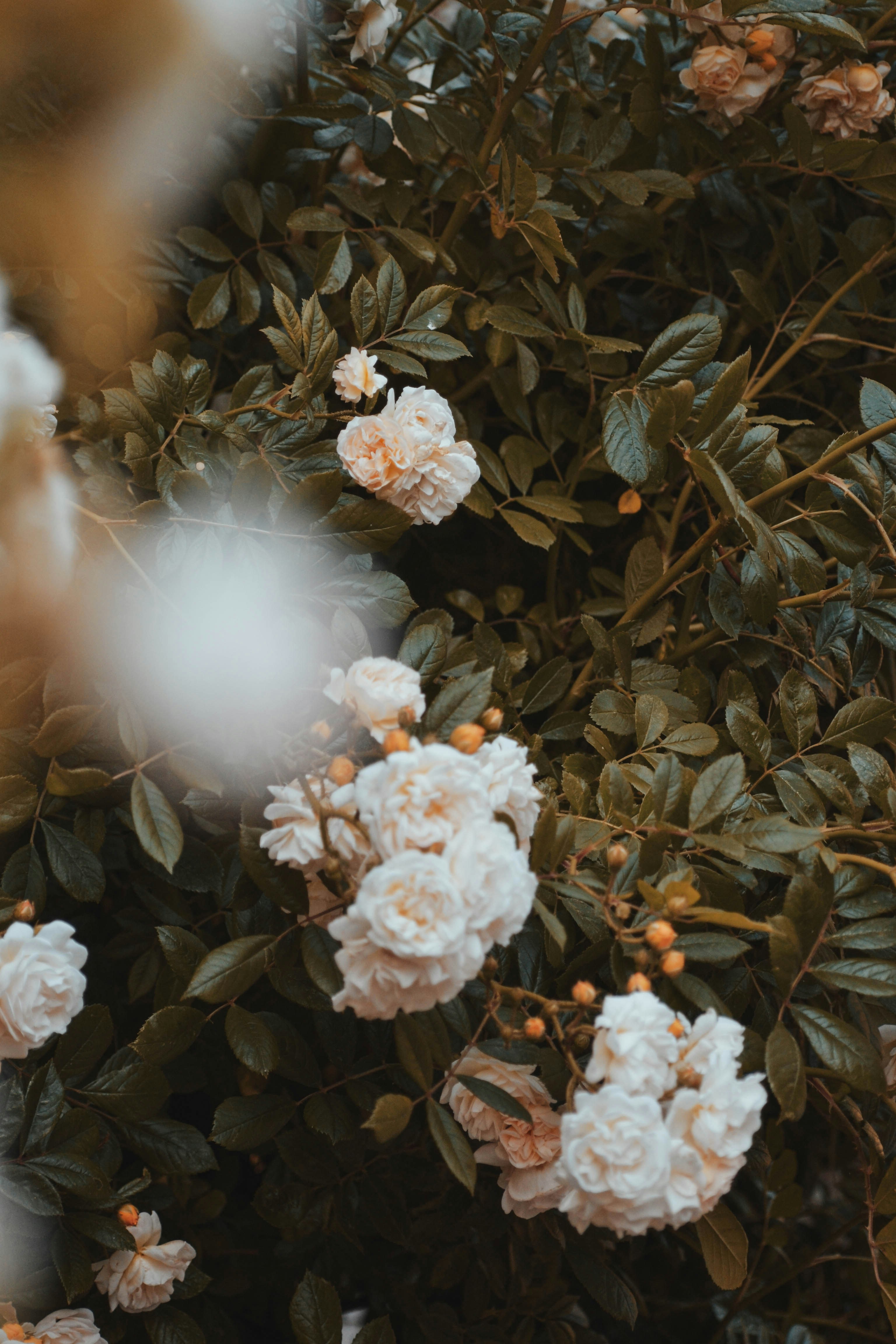 Photo by camerasimagination