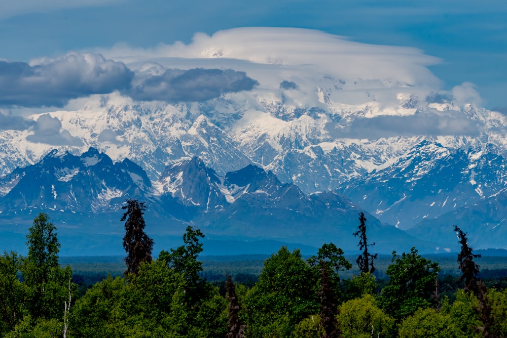 green trees and mountains during daytime