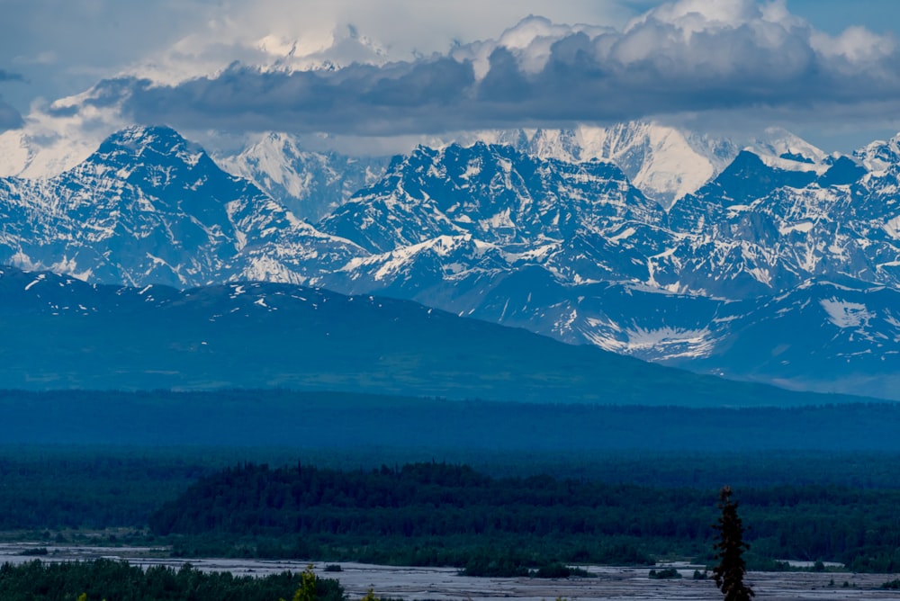 green grass field and snow covered mountains during daytime